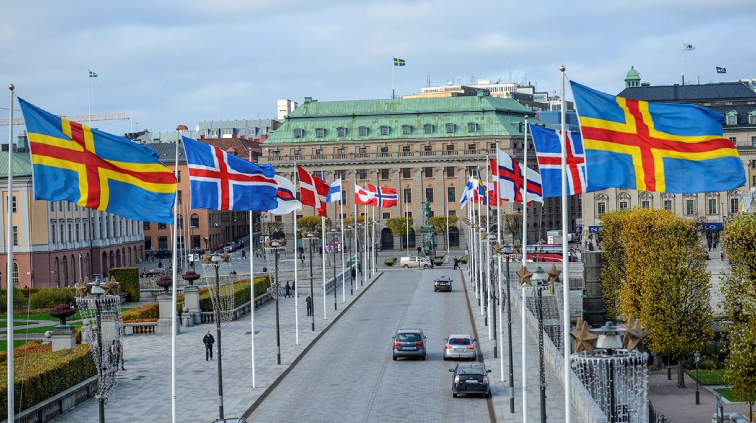Nordiska rådets medlemsländers flaggor vajar i vinden.&nbsp;