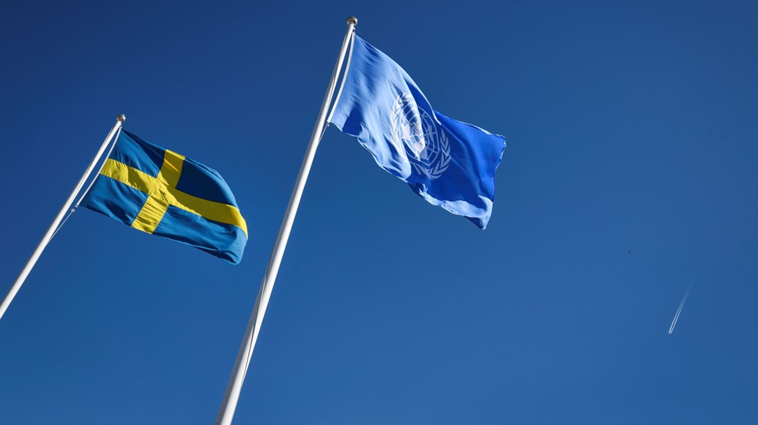 ”Svenska Röda korset, andra civilsamhällesaktörer och CAT har kontinuerligt kritiserat Sverige för att det fortfarande inte finns nationell lagstiftning om ett tortyrbrott.”