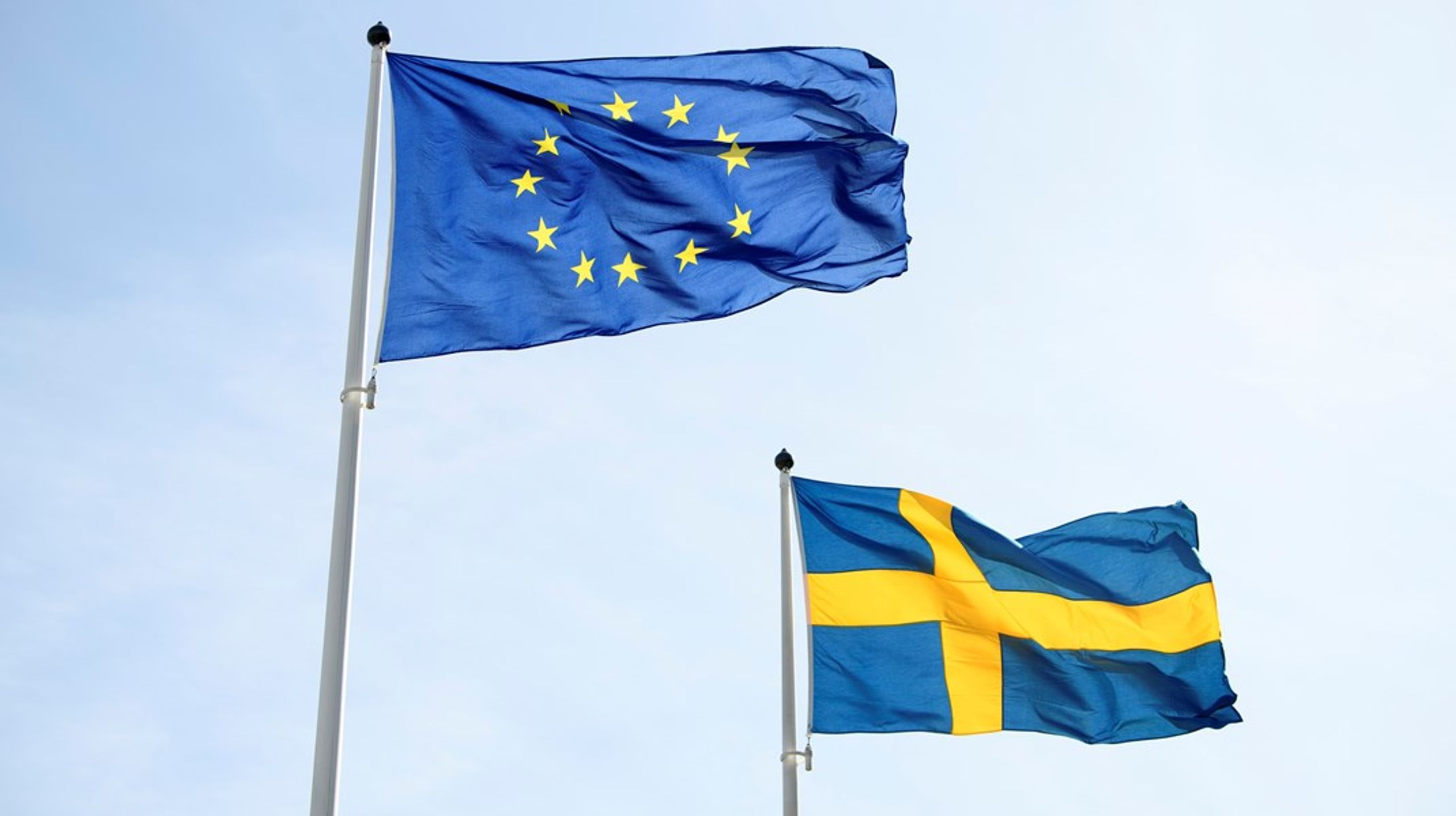”Sverige behöver bli mer proaktivt i EU och bygga allianser med likasinnade kring konkreta förslag”.