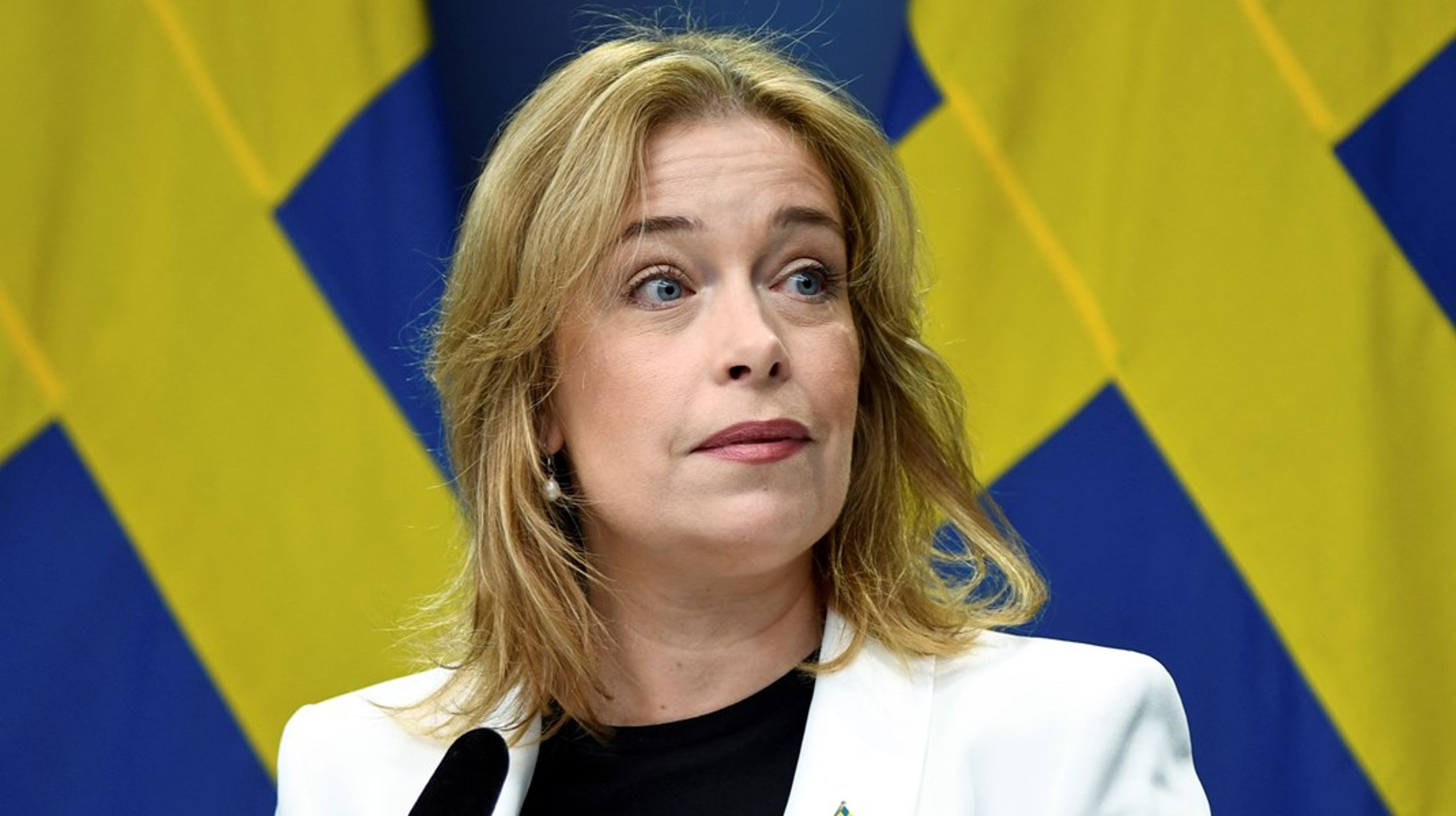 På onsdagsmorgonen presenterade klimat- och miljöminister Annika Strandhäll (S) ett vindkraftspaket i fyra delar.