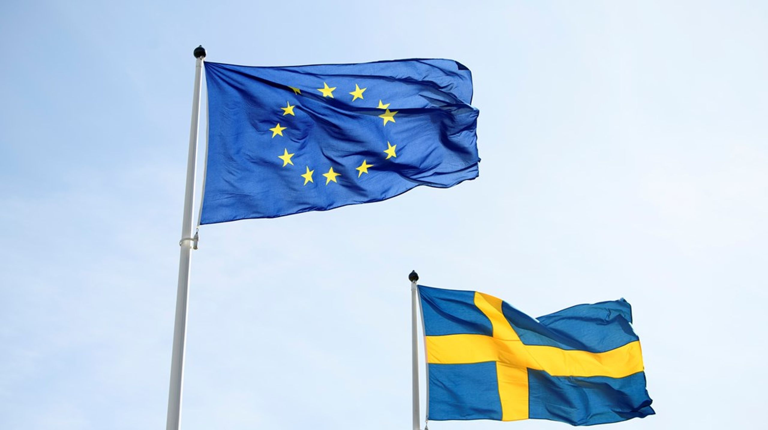 Tillsammans med resten av EU sätter vi nu vårt hopp till att Sveriges ledarskap kommer leda kampen mot cancer, skriver debattören.&nbsp;