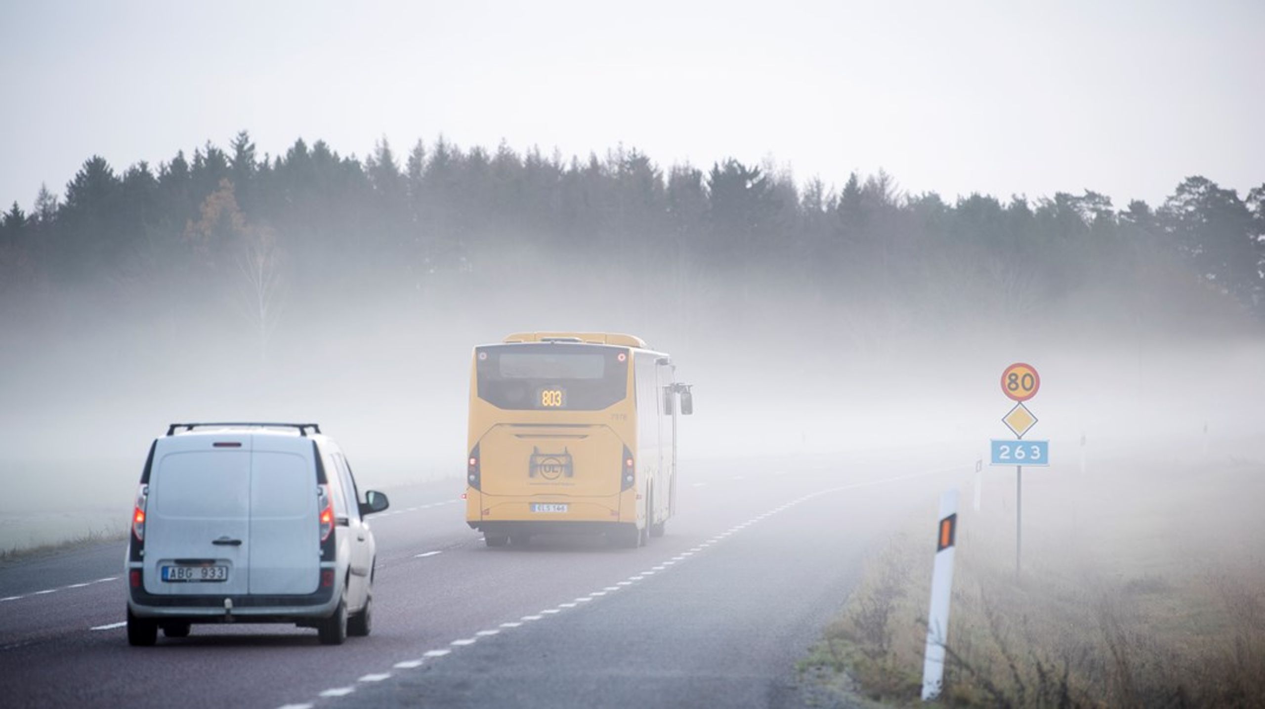 Svenska Turistföreningen ser ett stort problem med att kollektivtrafiken skiljer sig från region till region.&nbsp;
