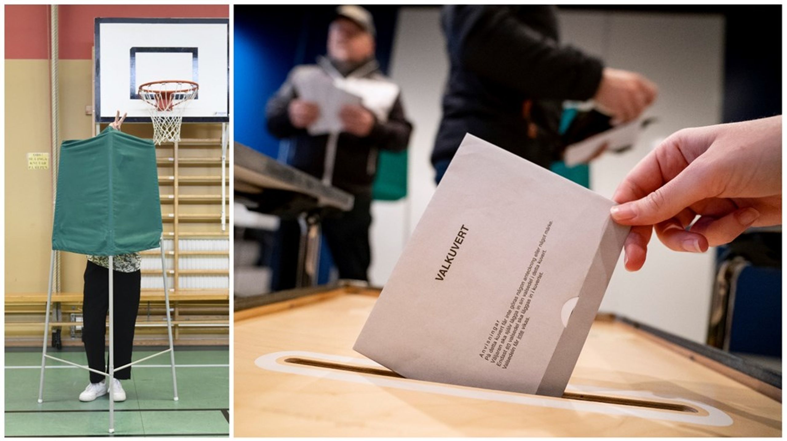 Fler förstagångsväljare än någonsin och en stor grupp nya svenskar sedan förra valet. Tillsammans står de för en tiondel av väljarna.