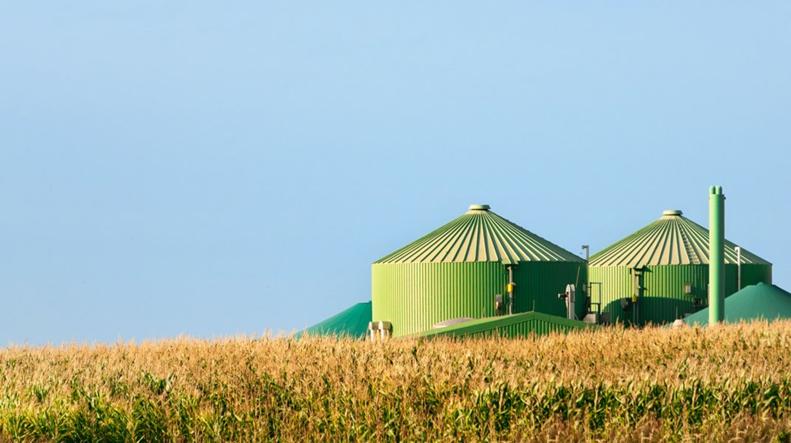 Vilken plats ska biogasen ha i sjöfarten? Jens Holm befarar att fossila alternativ kommer att dominera. <br>