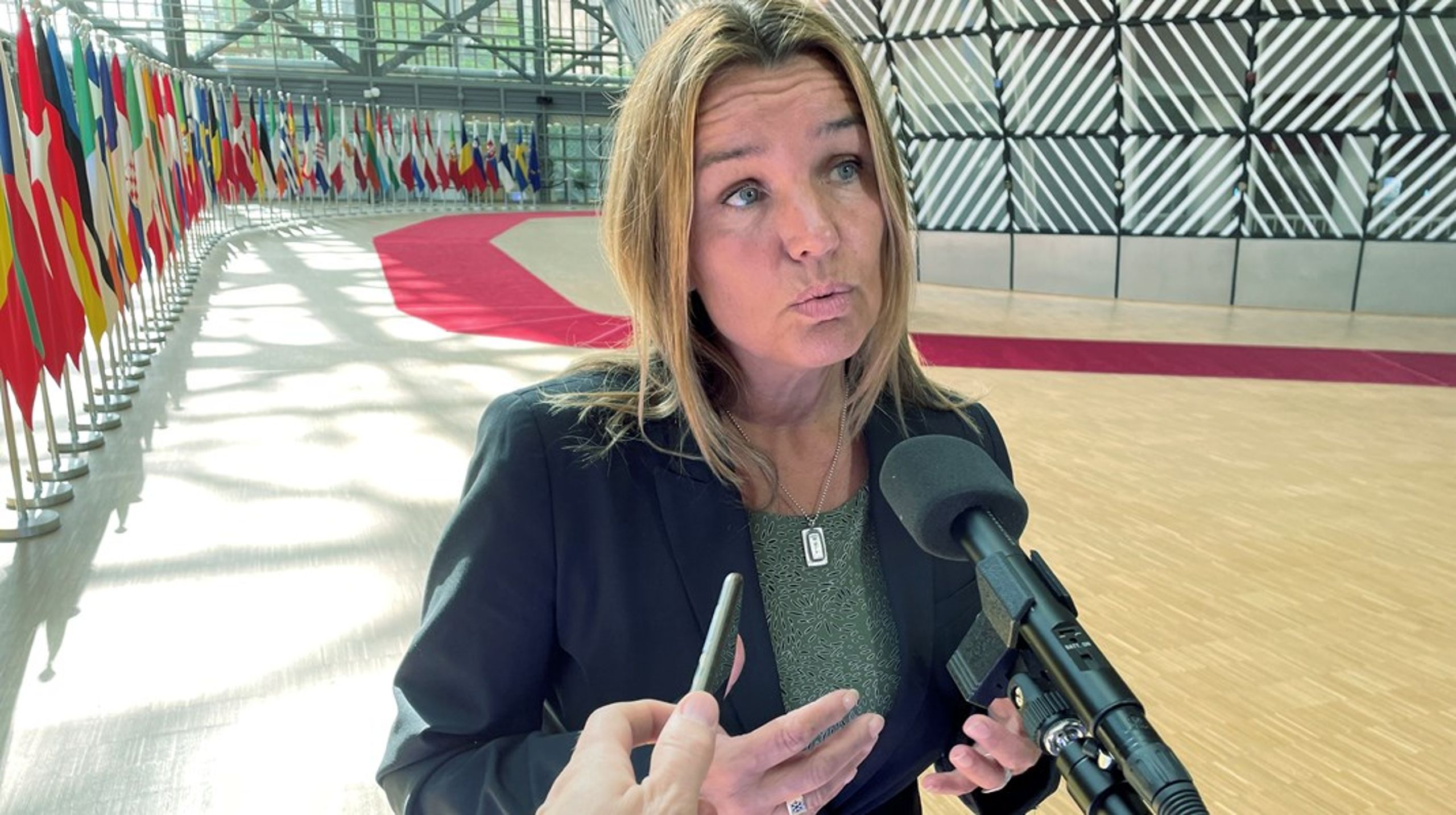 Anna-Caren Sätherberg, Sveriges&nbsp;landsbygdsminister.