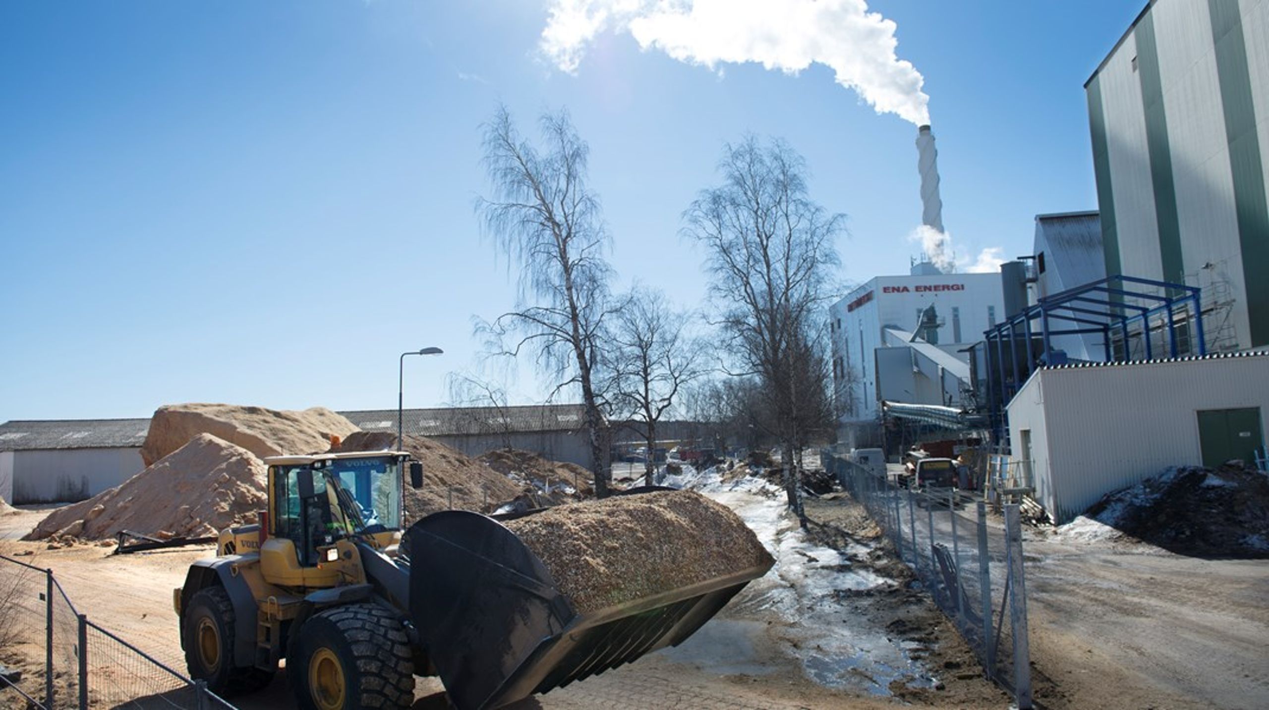Sex partier i riksdagen kräver flera förändringar i synsättet på skogsbruk och bioenergi för att Sverige ska kunna acceptera en kompromiss. <br>
