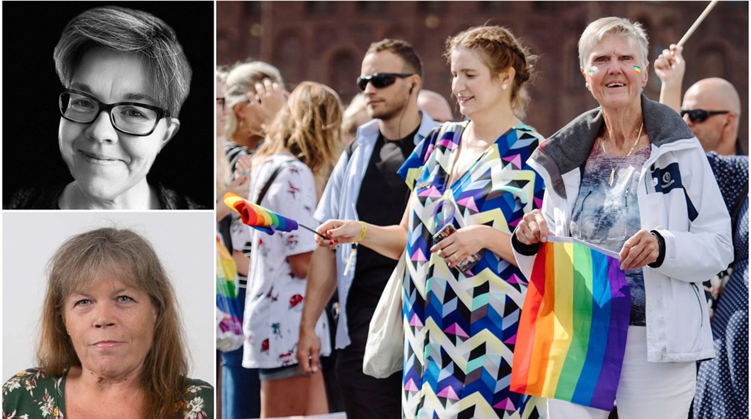 Birgitta Ohlsson och Barbro Westerholm är två politiker som konsekvent stått upp för homosexuellas rättigheter sedan de började sina politiska gärningar.
