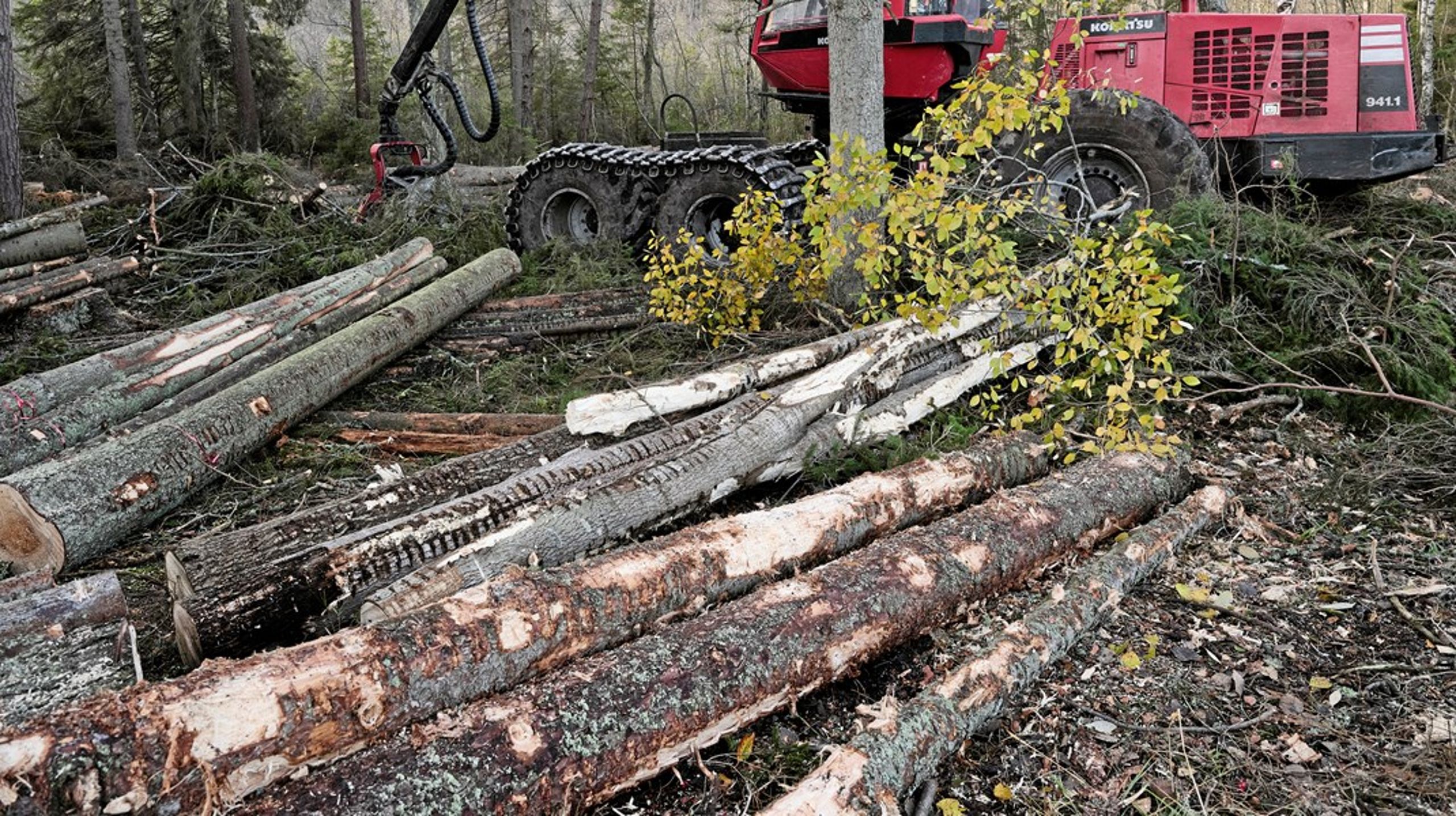En ny regering bör snabbt tillsätta en bred parlamentarisk skogsutredning, som pekar ut en ny kurs - ett hållbart skogsbruk, skriver debattörerna.