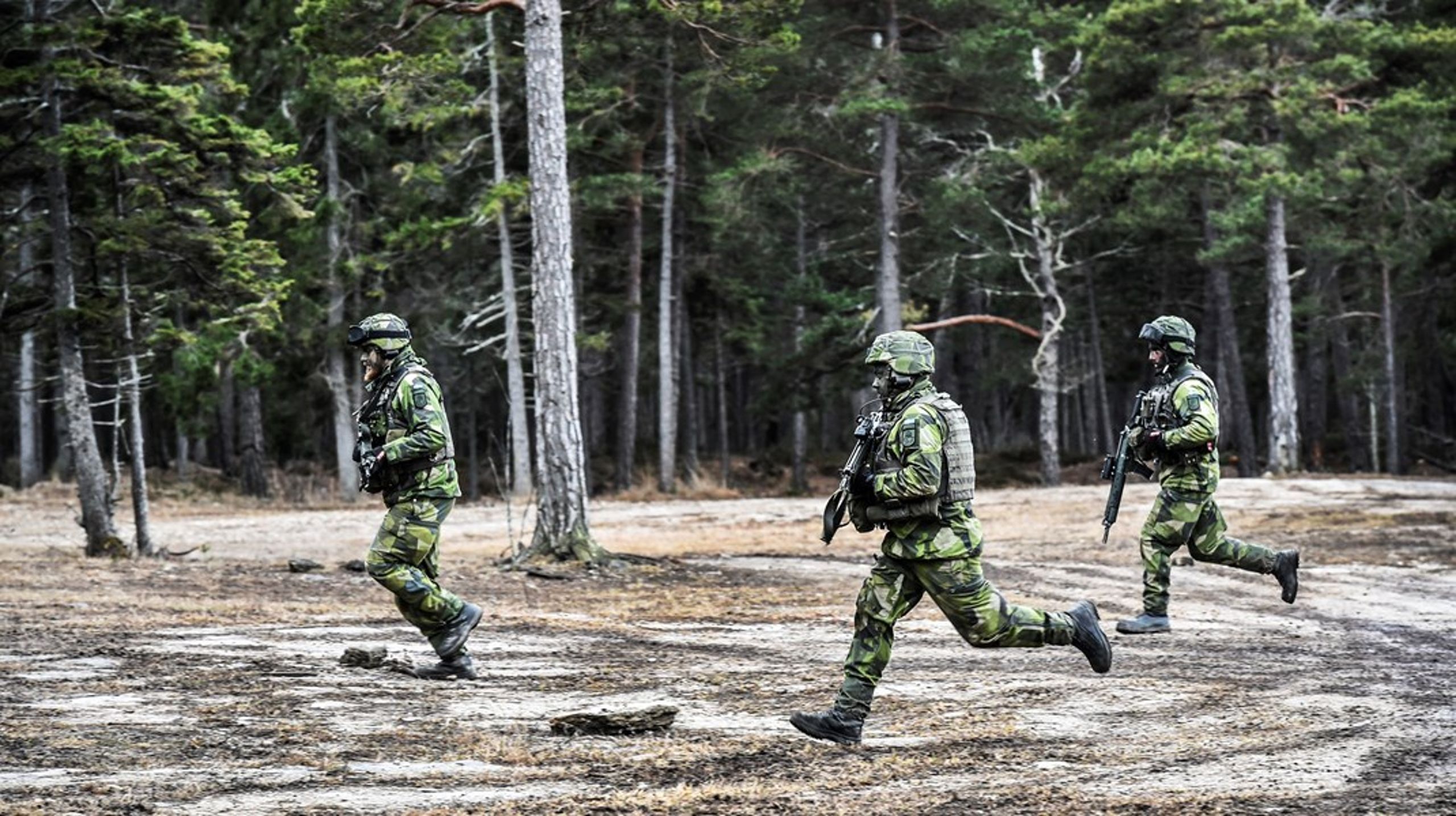 Försvarsmakten behöver tillgång till naturen. Det ska Miljömålsberedningen ta hänsyn till i sitt nya uppdrag. Övning på Tofta skjutfält, Gotland.