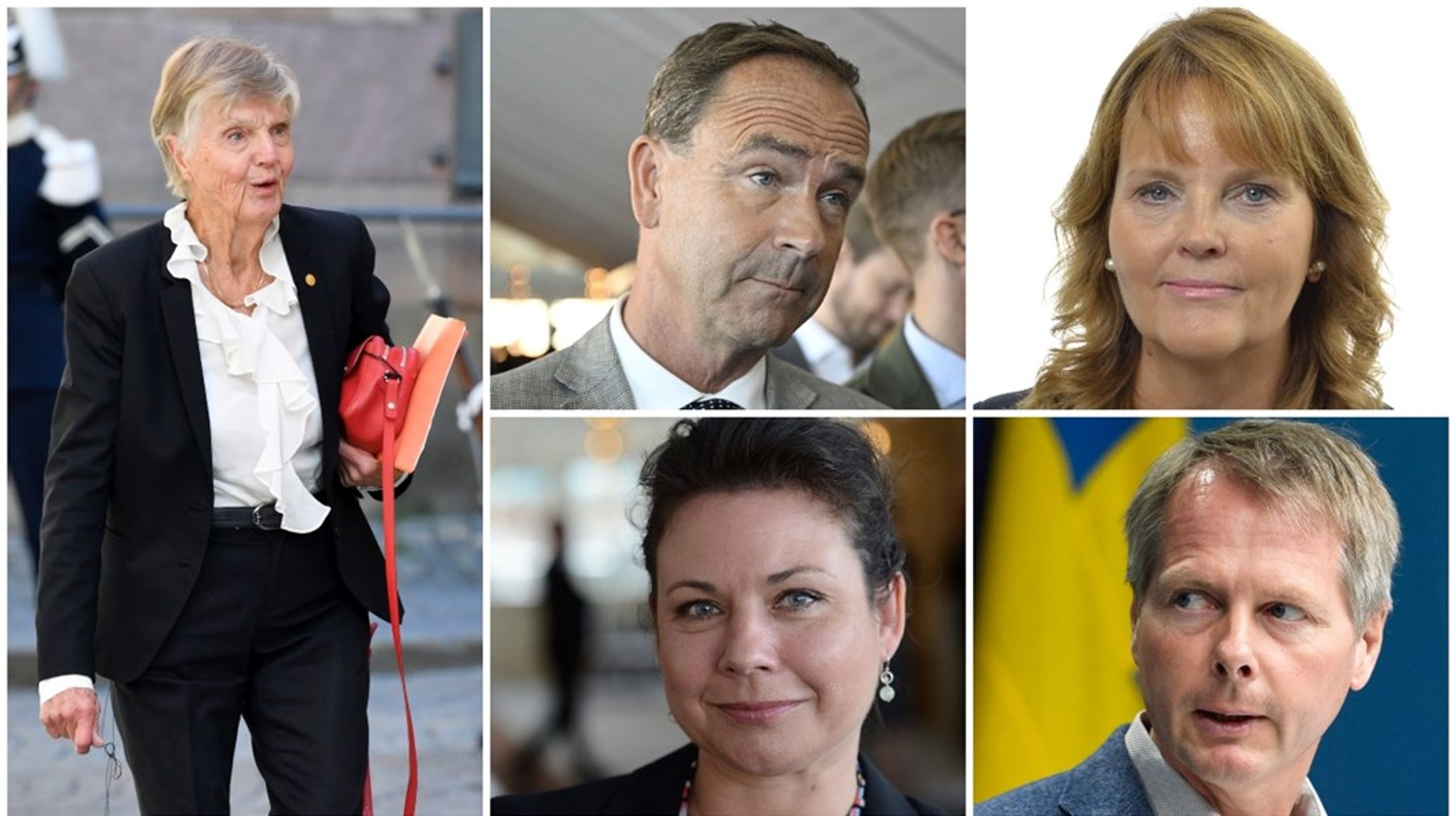 Flera av Liberalernas erfarna riksdagsledamöter ställer inte upp för omval, däribland Barbro Westerholm, Allan Widman, Christer Nylander, Tina Acketoft och Nina Lundström.