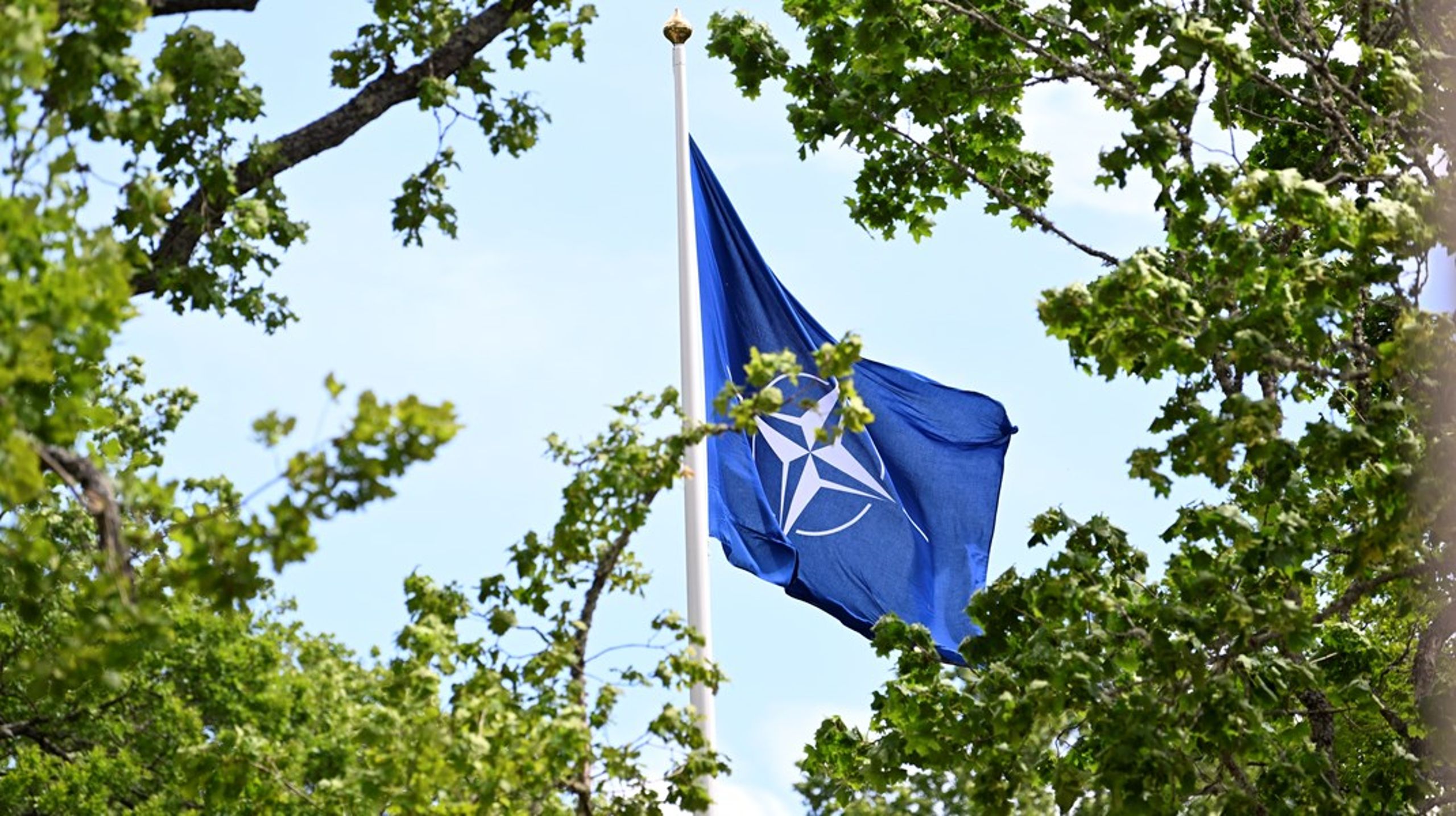 Nato-flaggan vajar i vinden.