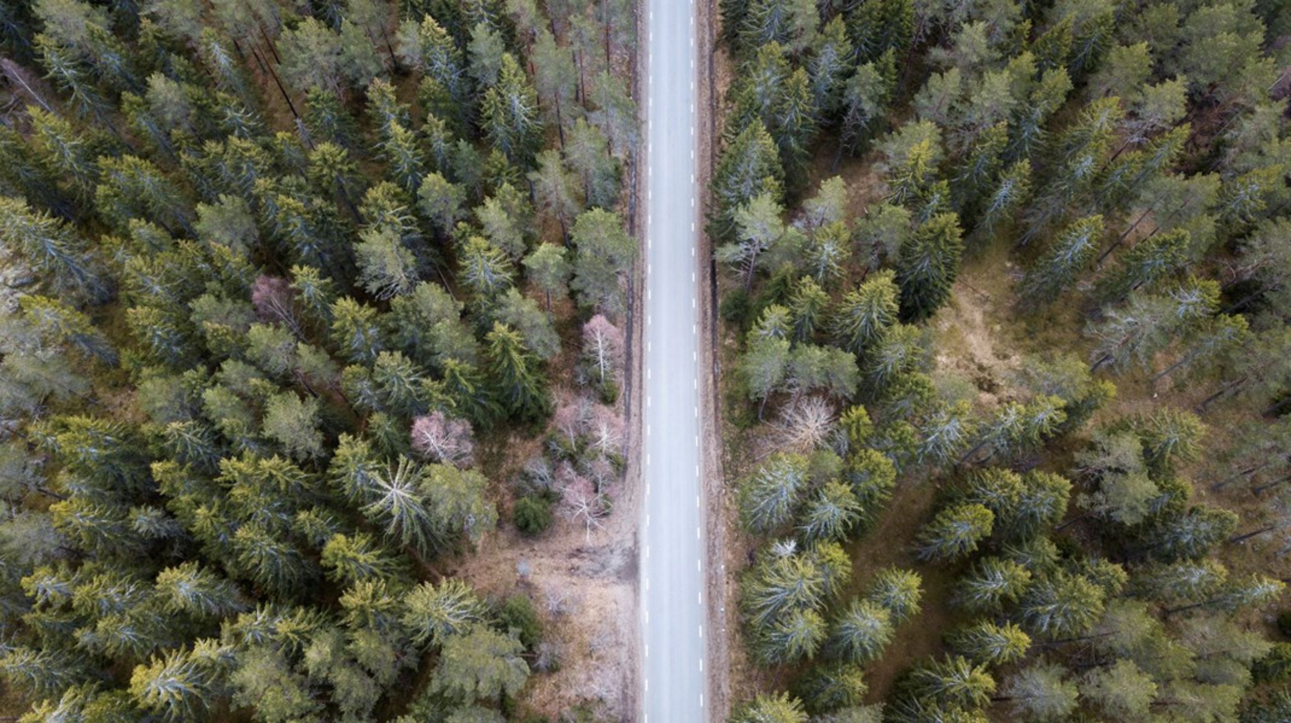 Ska den nya Miljömålsberedningen lyckas hitta en väg framåt i skogspolitiken som samtidigt leder till att Sverige klarar de åtaganden som EU ställer upp? Och vad kommer det att innebära för de nationella miljömålen?