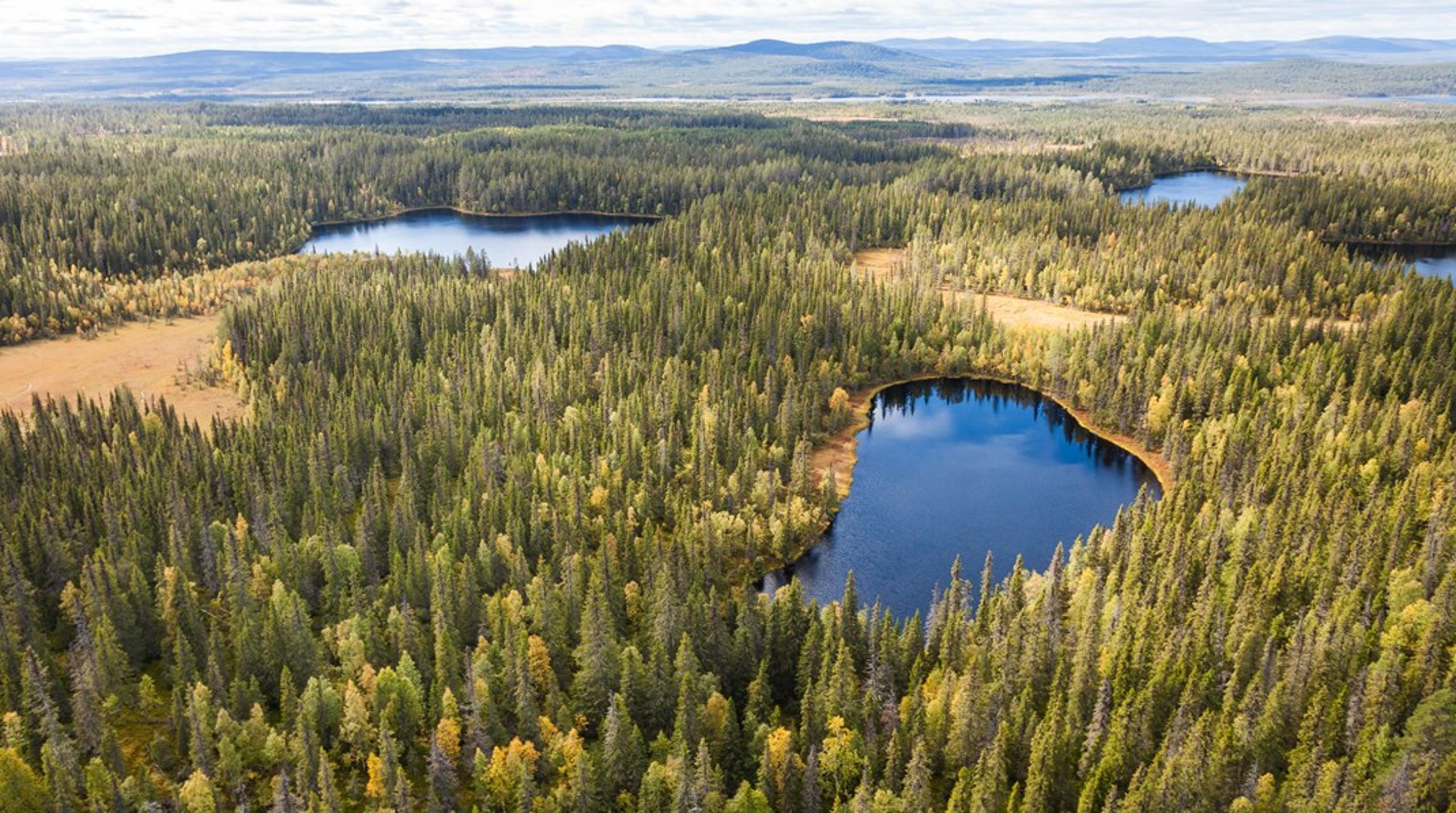Stortjärnarna i Norrbotten. Området är en del av de 100 000 hektar som ska skyddas formellt i och med överenskommelsen mellan Sveaskog och Naturvårdsverket.