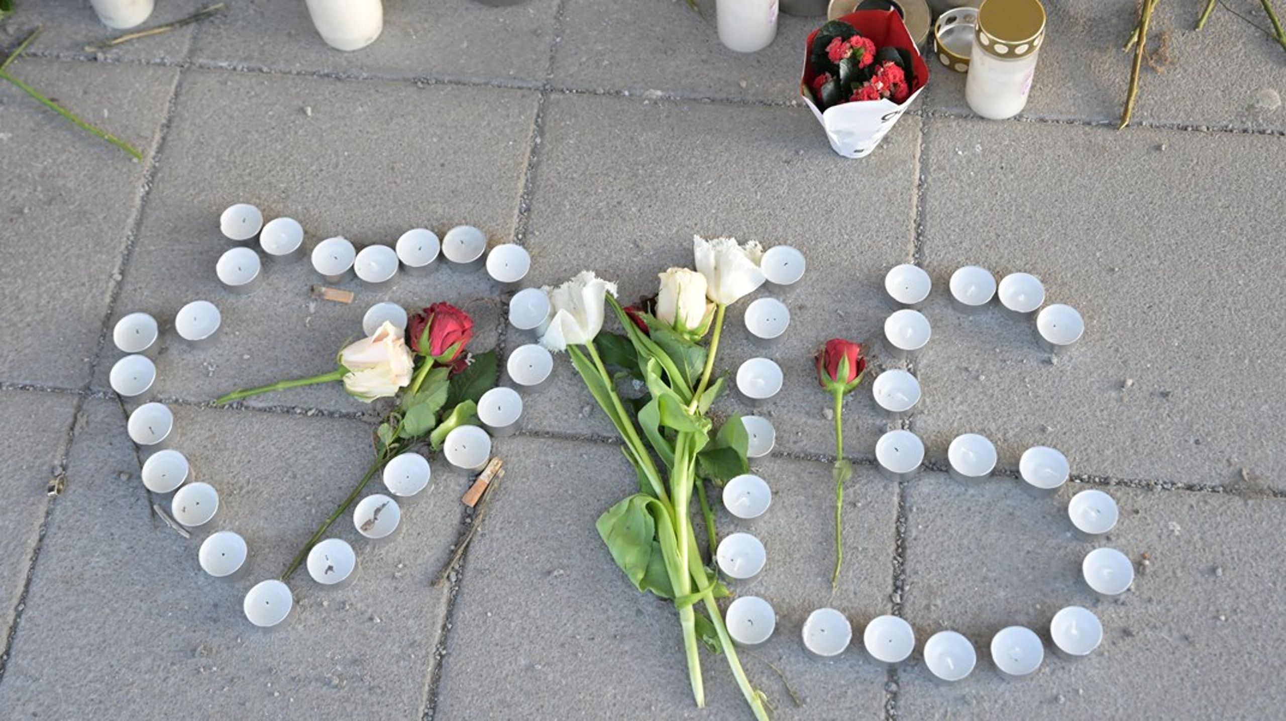 Efter att en 15-årig pojke skjutits till döds i Skogås skapades en minnesplats. Regeringen vill nu skynda på åtgärder för att förhindra att unga dras in i gängen.