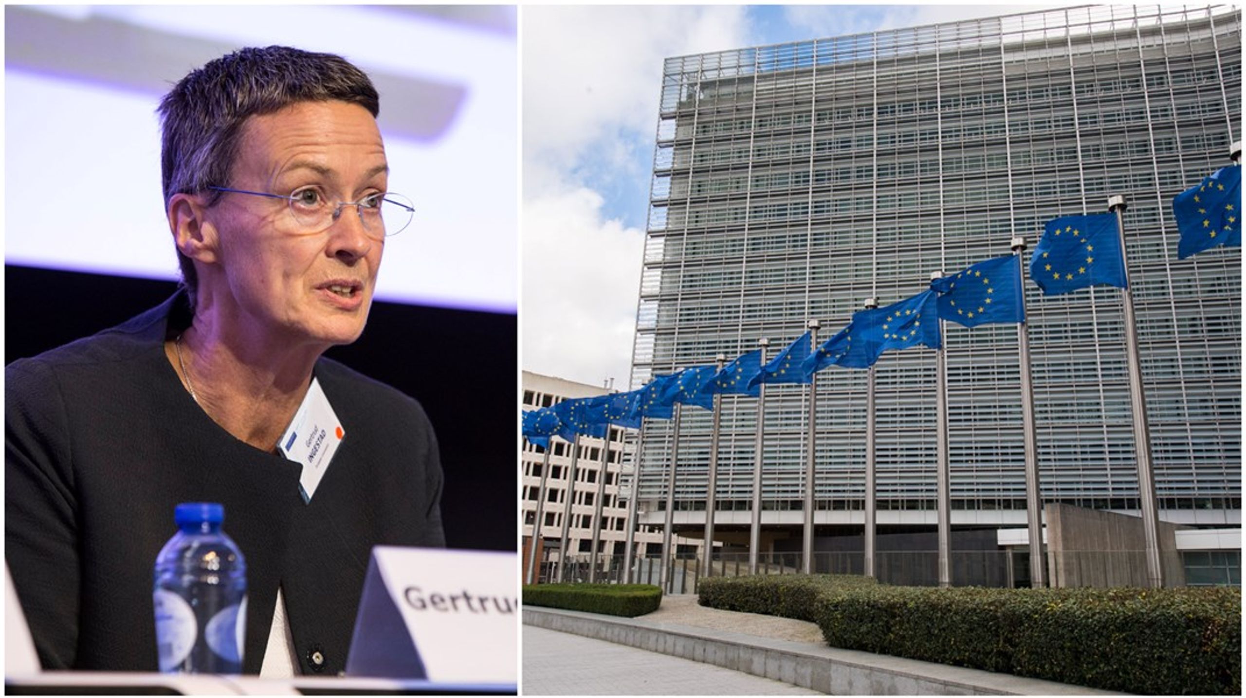 Gertrud Ingestad leder i dag över 1 000 EU-anställda på sitt generaldirektorat.