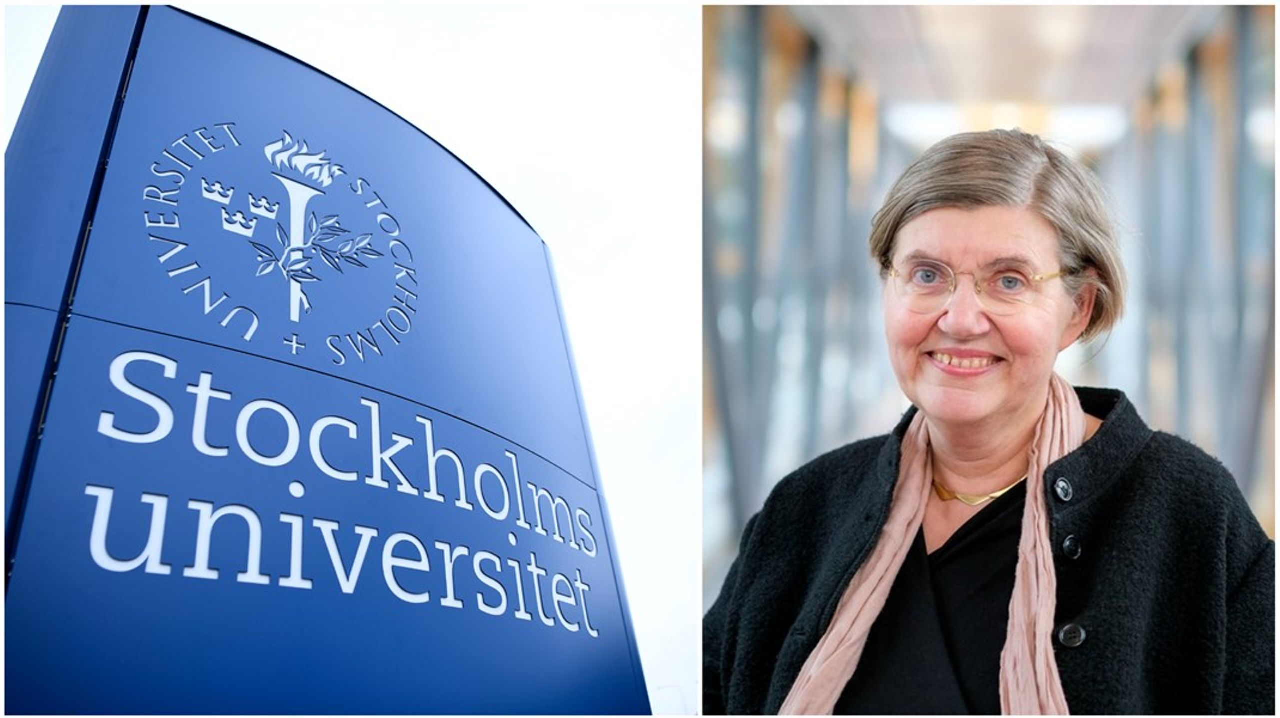 OECD verkar se den akademiska friheten som ett hinder för strategin, säger Stockholms universitets rektor Astrid Söderbergh Widding.