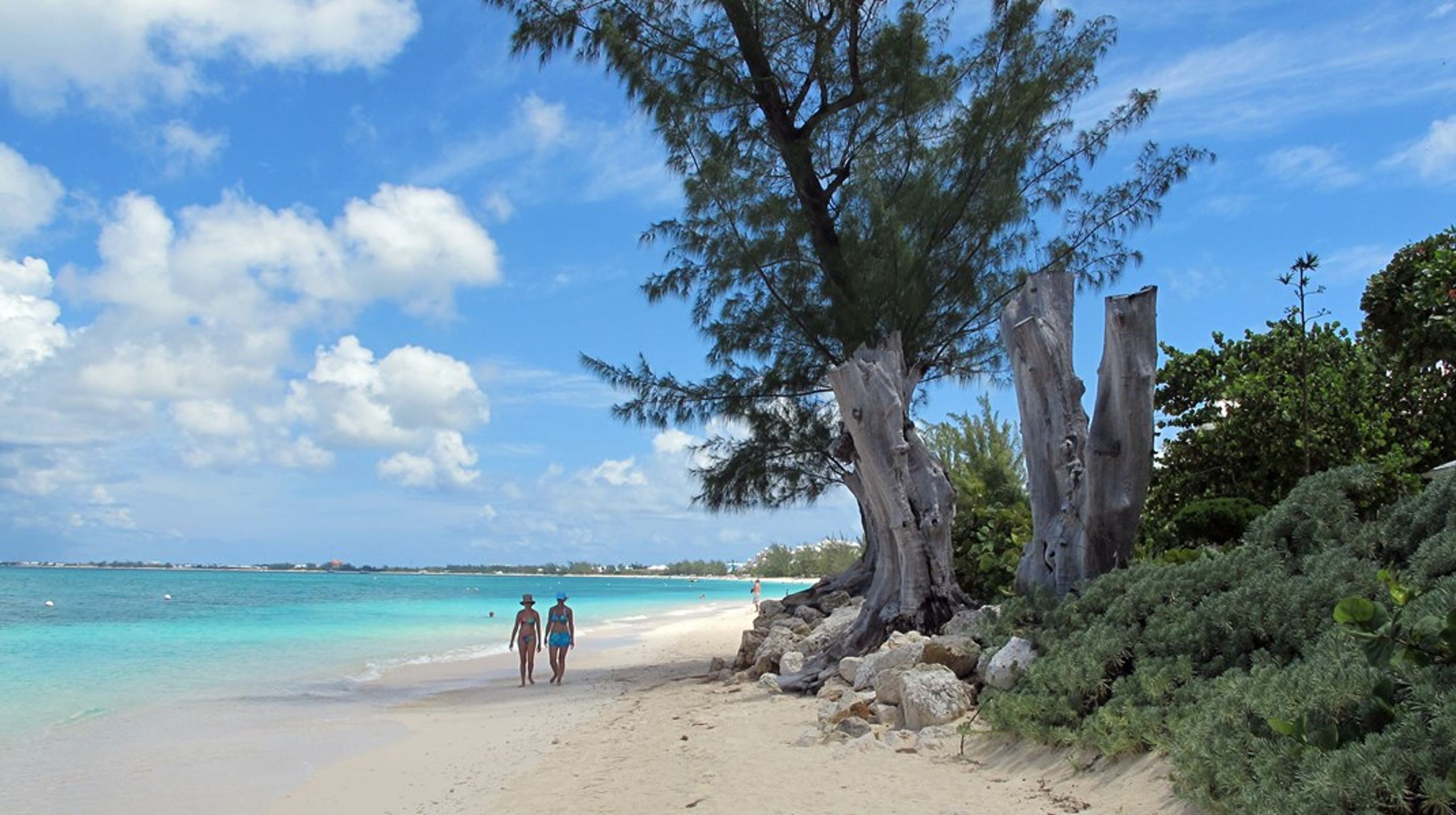 Caymanöarna är ett av världens främsta skatteparadis.
