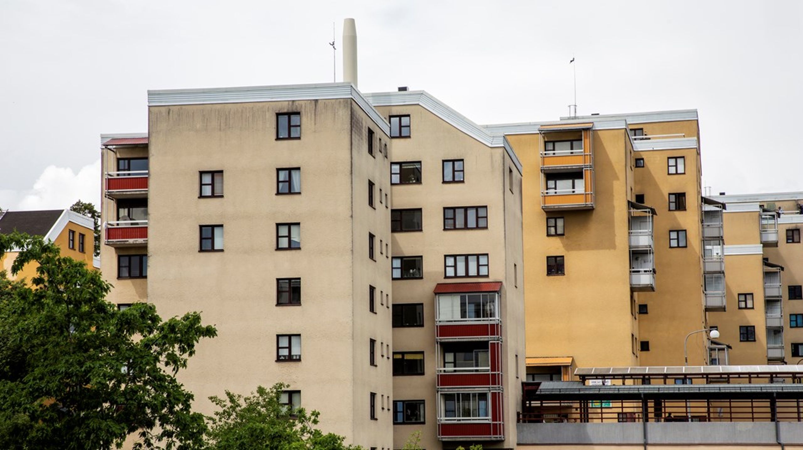 Av lägenheter i flerbostadshus är hyresrätter den vanligaste bostadstypen.