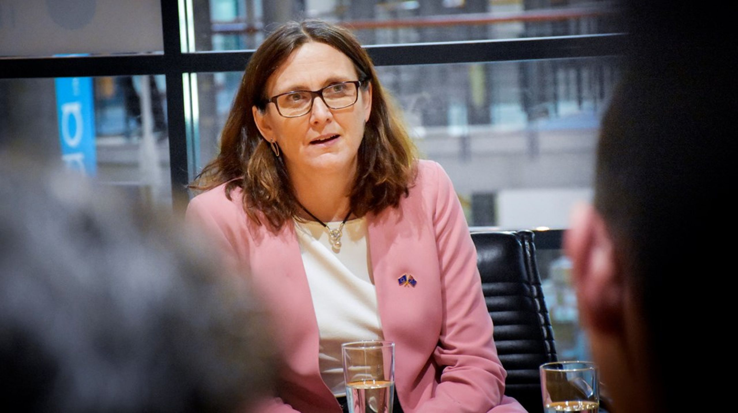 Cecilia Malmström var EU-kommissionär mellan 2010 och 2019.
