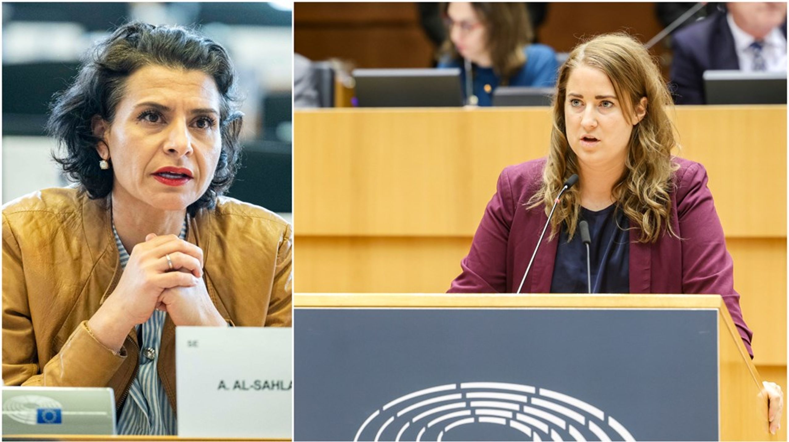 Abir Al-Sahlani valdes in i Europaparlamentet efter valet 2019. Emma Wiesner tog plats i Bryssel först två år senare, när Fredrick Federley lämnade. Båda kandiderar för omval.