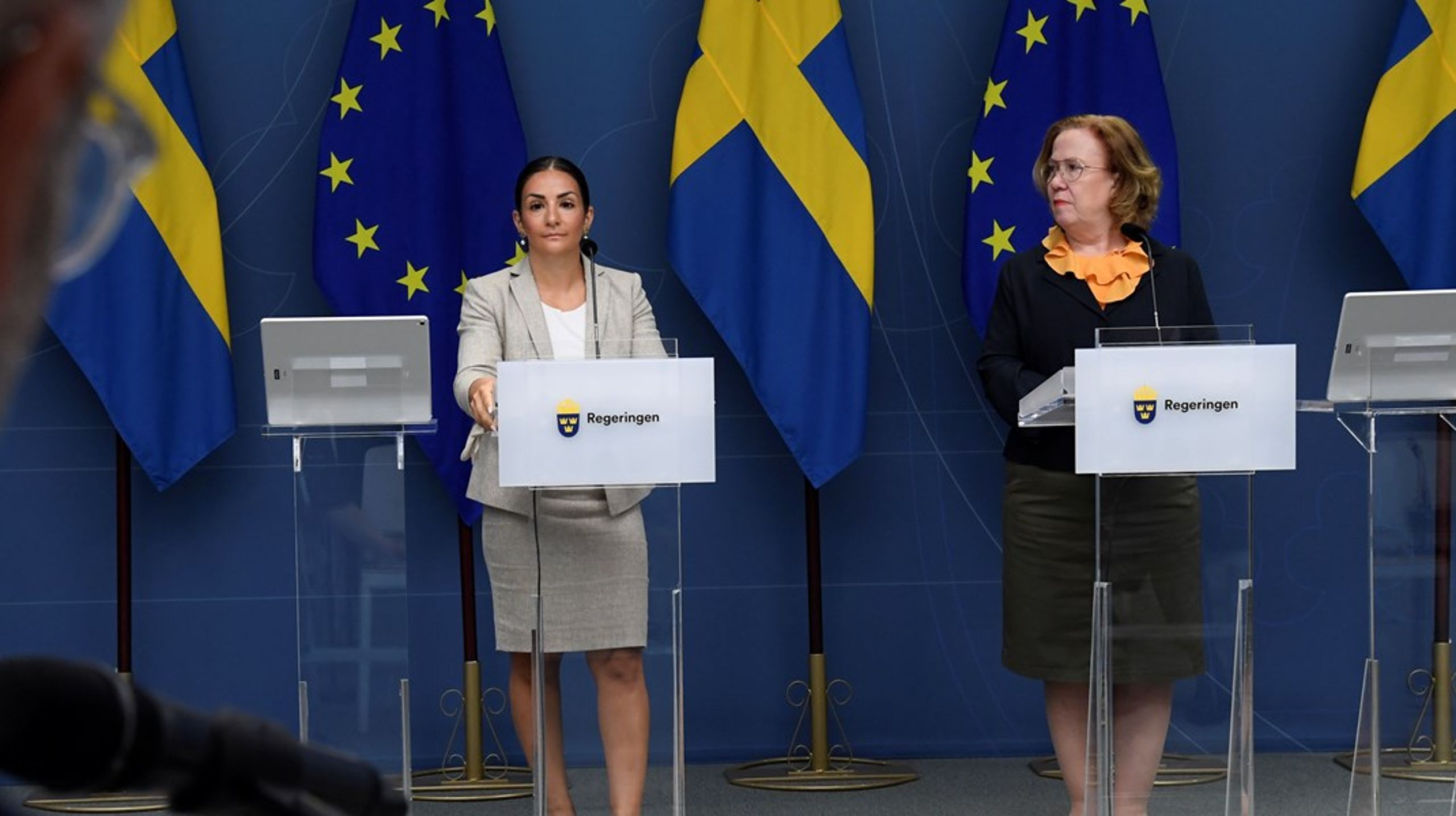 Kulturminister Parisa Liljestrand (M) har utsett SI:s generaldirektör Madeleine Sjöstedt till bokstavsutredare.