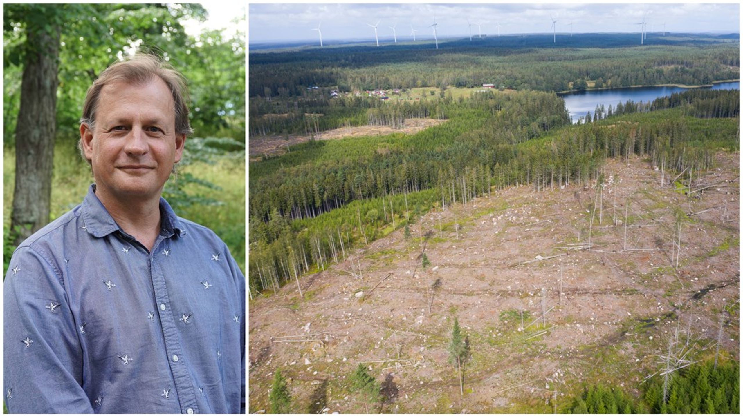 Svenskt skogsbruk påminner mer om virkesåkrar än levande skogar, oavsett vilken bild&nbsp;Skogsstyrelsens generaldirektör Herman Sundqvist försöker förmedla på sociala medier, skriver Carl Schlyter.