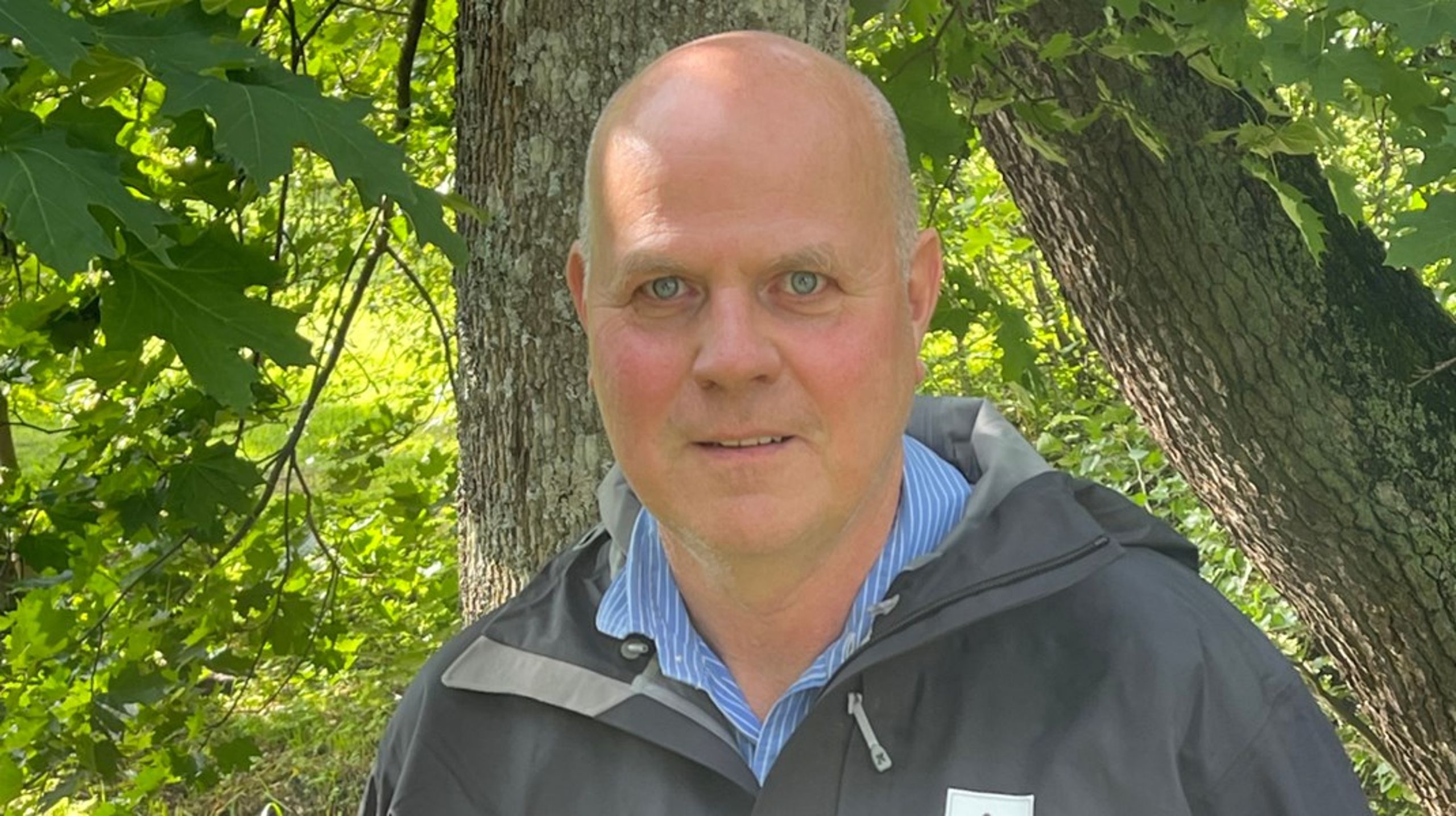 Tomas Frisk är ny chef för&nbsp;WWF:s avdelning för skog och arter.