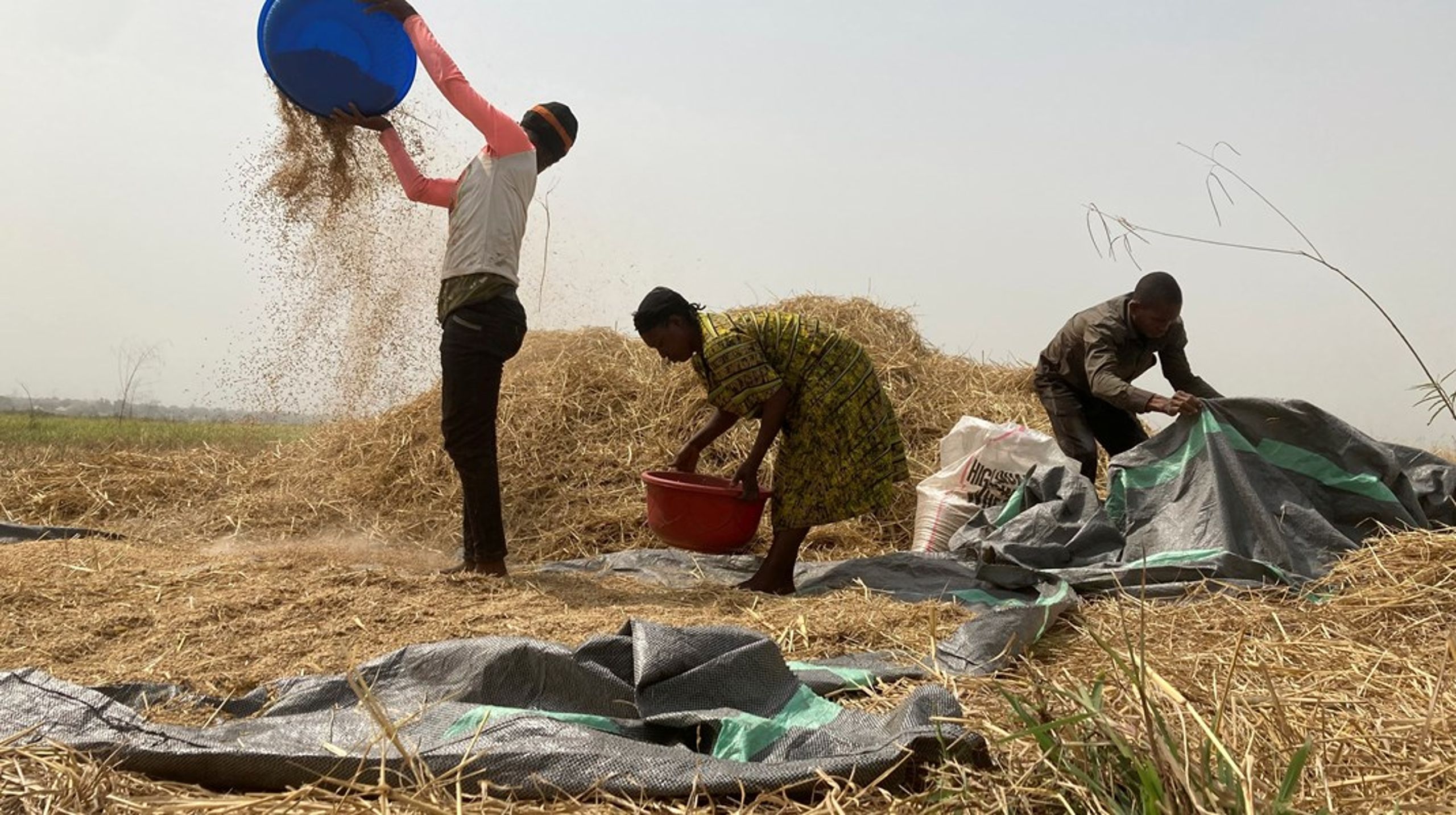 ”I utvecklingsländer är över hälften av befolkningen beroende av jordbruk för sin försörjning.”