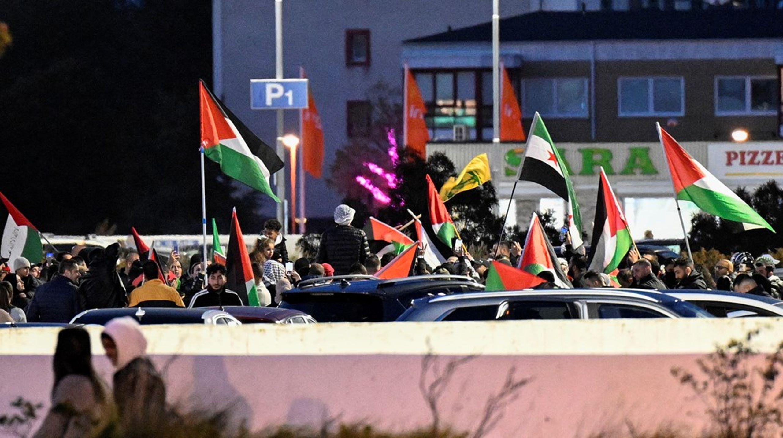 Tidigare S-politikern Mediha Pir Hosseinian deltog i den uppmärksammade och kritiserade demonstrationen i Malmö i söndags.<br>