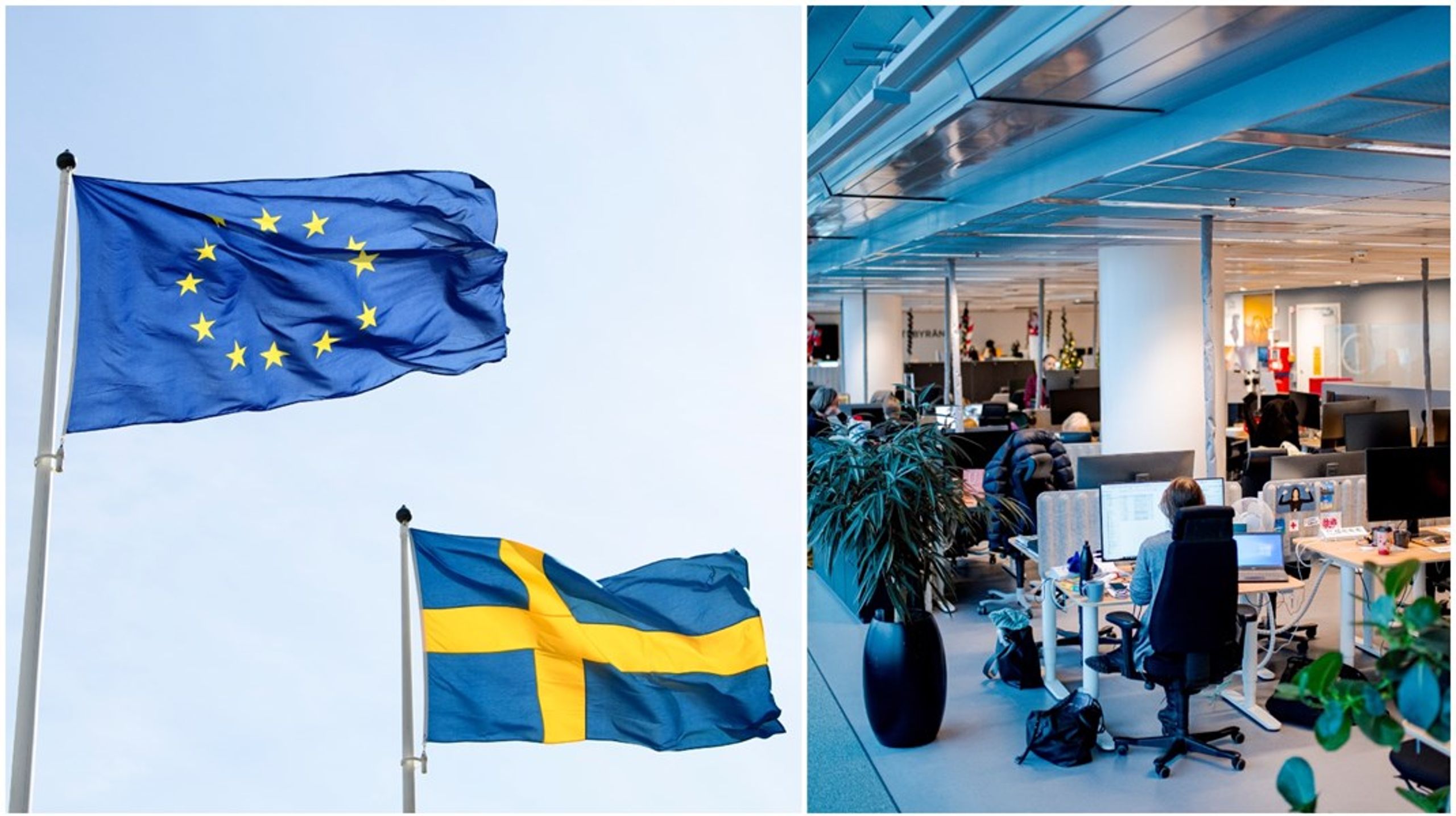 Kompetens är den röda tråden mot ett mer konkurrenskraftigt Sverige, skriver debattörerna.