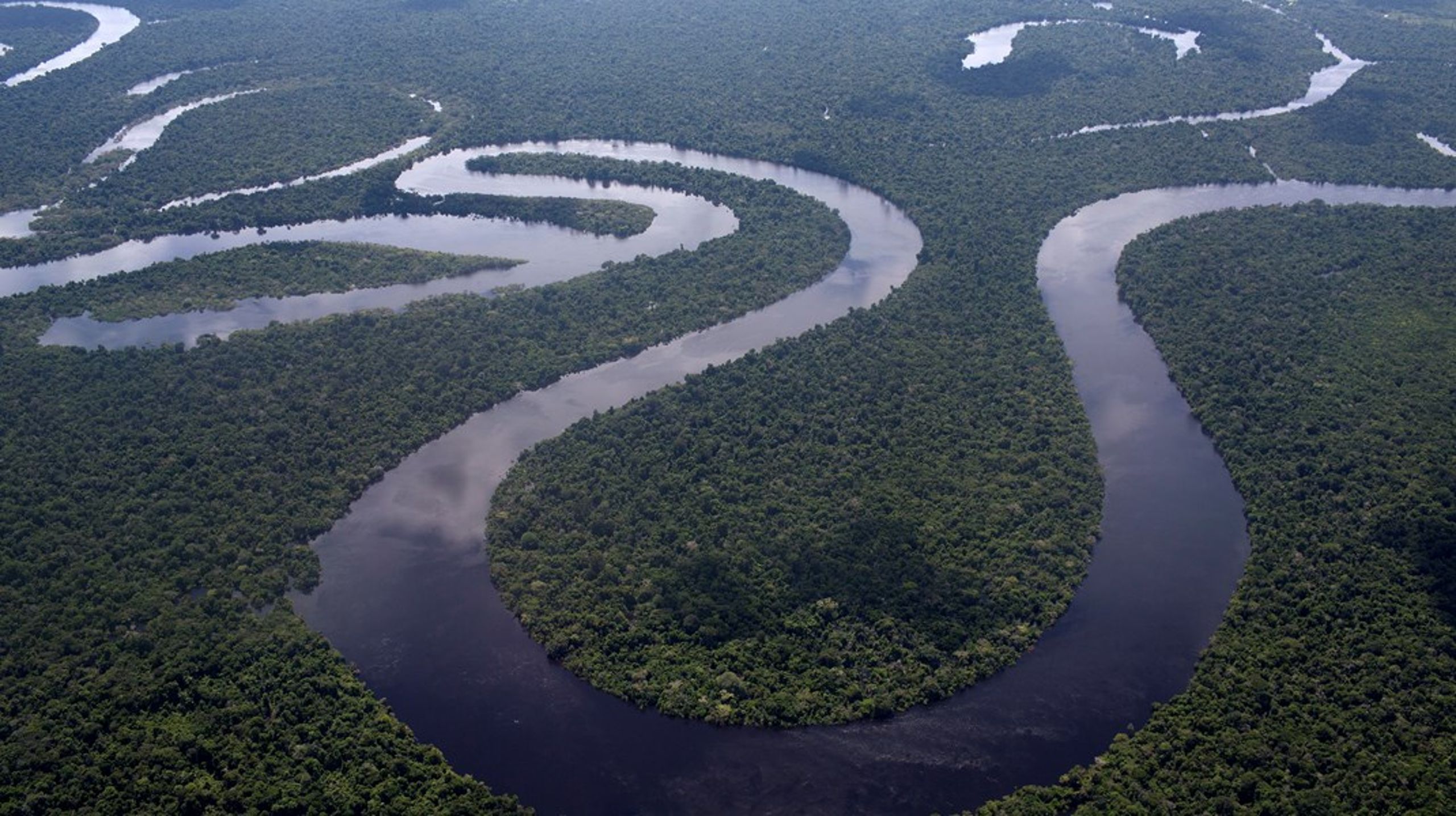 Inte ens Amazonas djungel är lika snårig som miljötillståndens utredningsdjungel. Det anser åtminstone debattörerna.