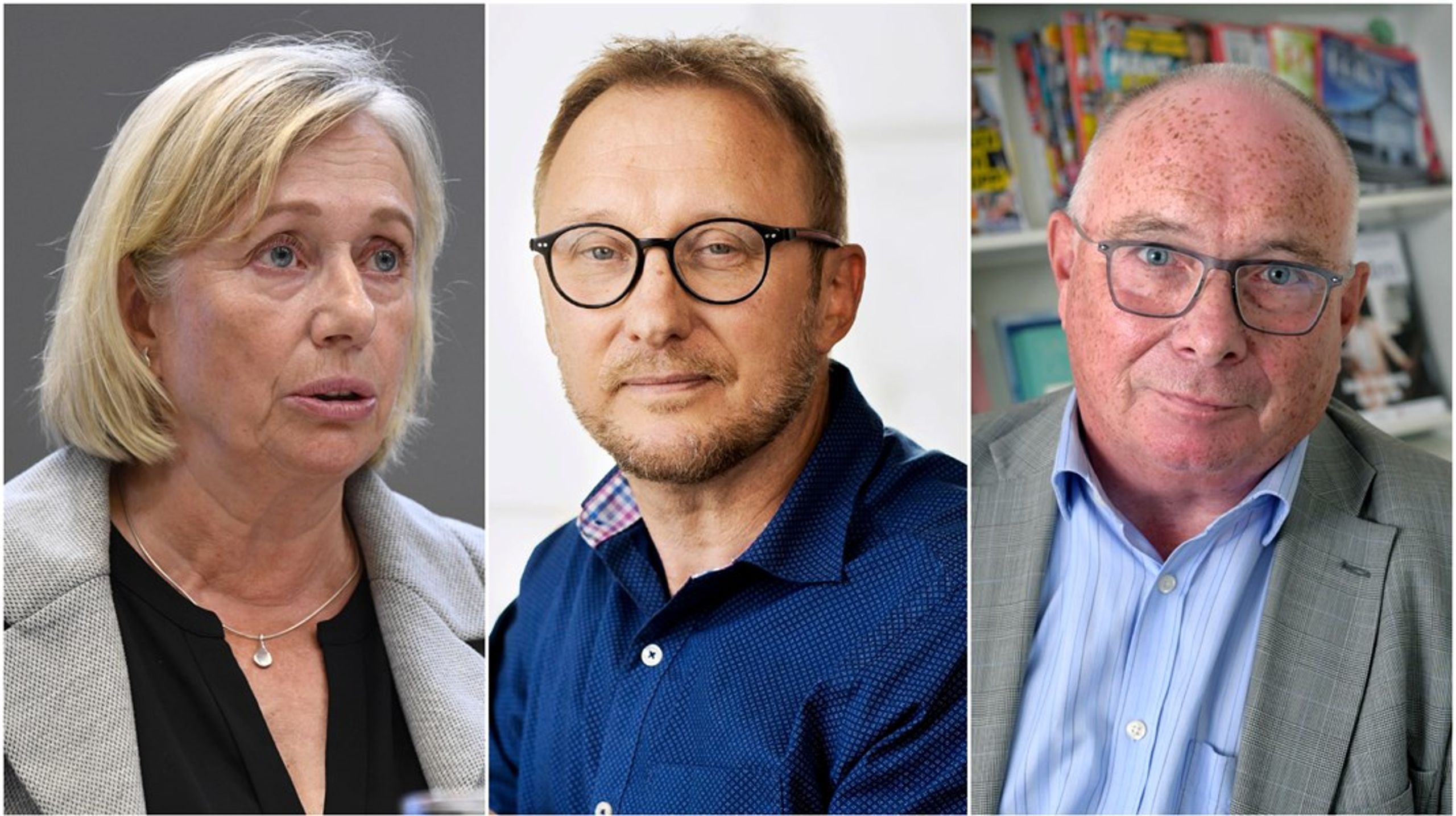 Anita Linder fortsätter som ordförande för mediestödsnämnden där även medieforskaren Bengt Johansson och tidigare medieombudsmannen Ola Sigvardsson ingår.