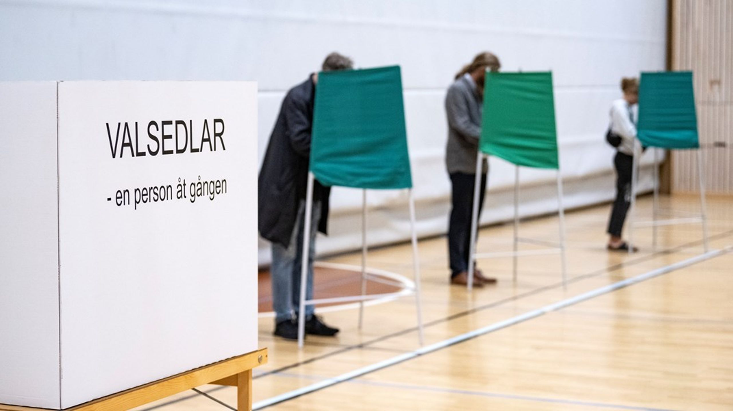 Statistiska Centralbyrån väntar sig att de kommer att kunna göra en djupare analys av valdeltagandet vid årets EU-val än vad man gjort tidigare år.<br>