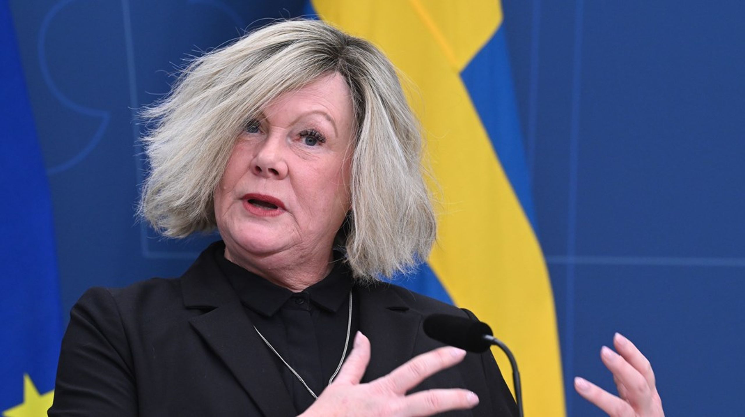 Anna Ledin. Direktör från Göteborgs stad blir generaldirektör vid myndighet i samma stad.