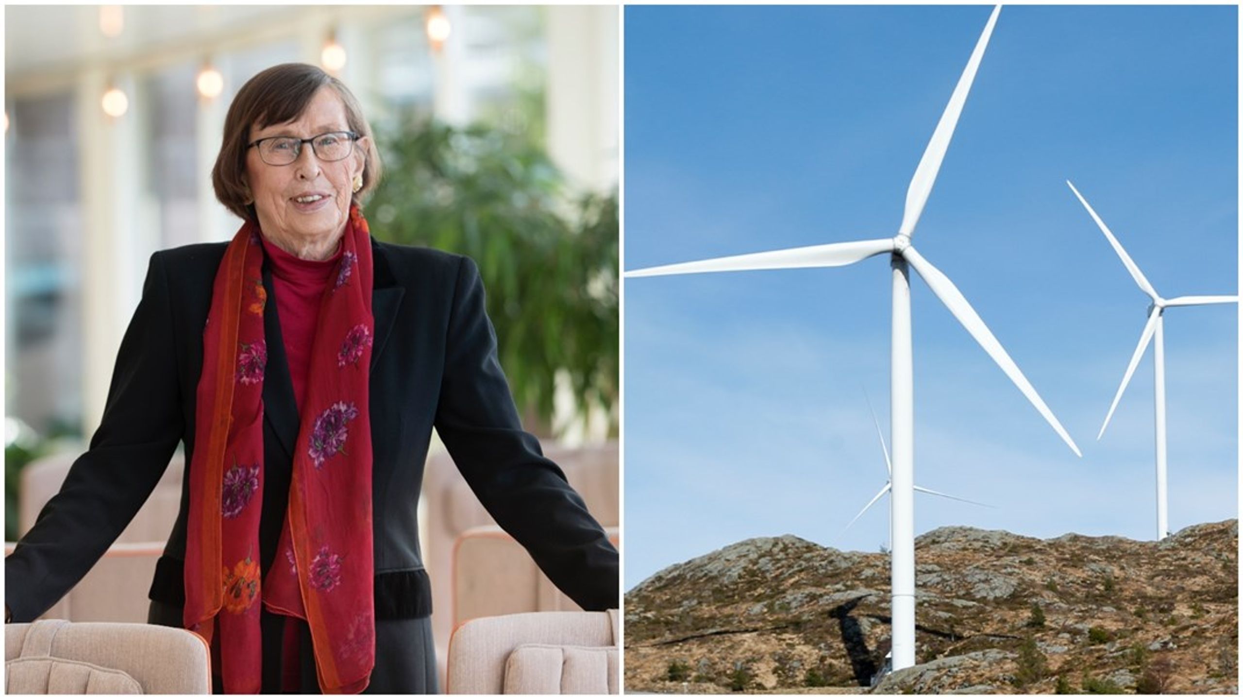 Den tidigare miljö- och energiministern Birgitta Dahl (S) är en av dem som har påtalat den starka&nbsp;mansdominansen i energisektorn.