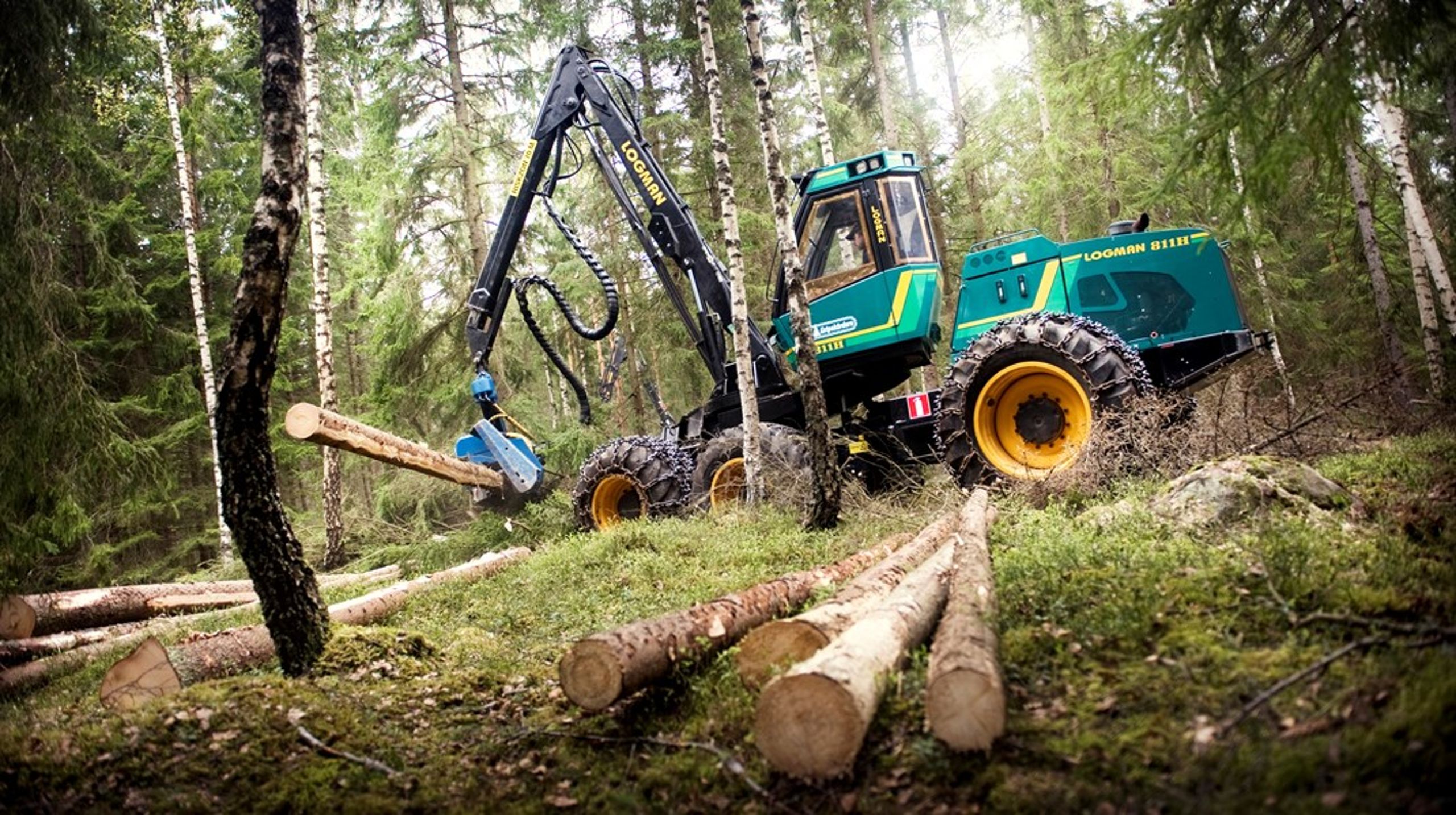 Ansvaret för EU:s avskogningsförordning har landat på Skogsstyrelsens bord. Syftet med förordningen är att förhindra&nbsp;handel med varor som bidrar till avskogning och skogsförstörelse.<br>