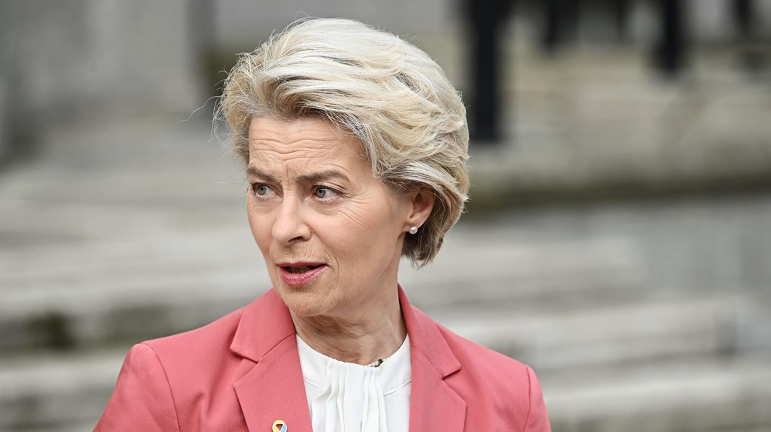 EU-kommissionens ordförande, den 65-åriga tyskan Ursula von der Leyen, kandiderar för en andra mandatperiod på EU:s viktigaste toppost.