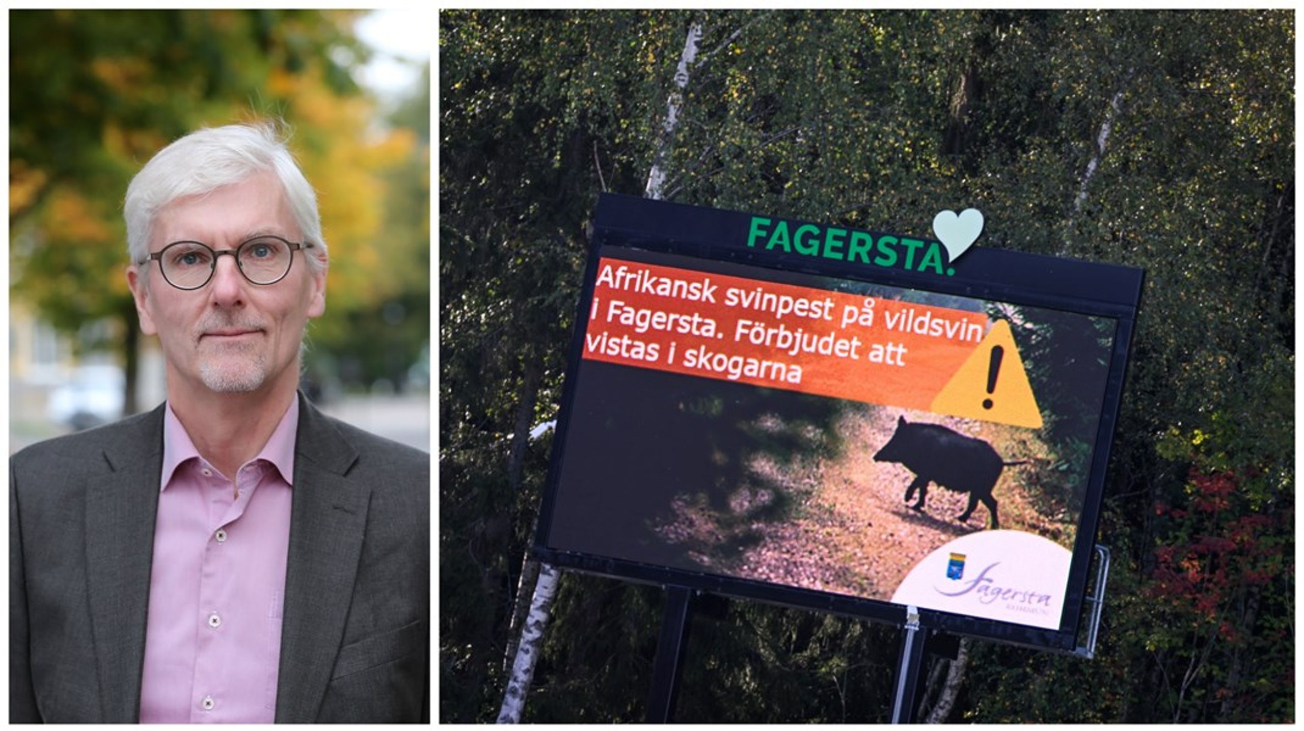 Jordbruksverkets avgående överdirektör ser även att efterträdaren får kämpa vidare i arbetet med att förebygga fler utbrott av allvarliga djursjukdomar som svinpestutbrottet i Fagersta. <br>