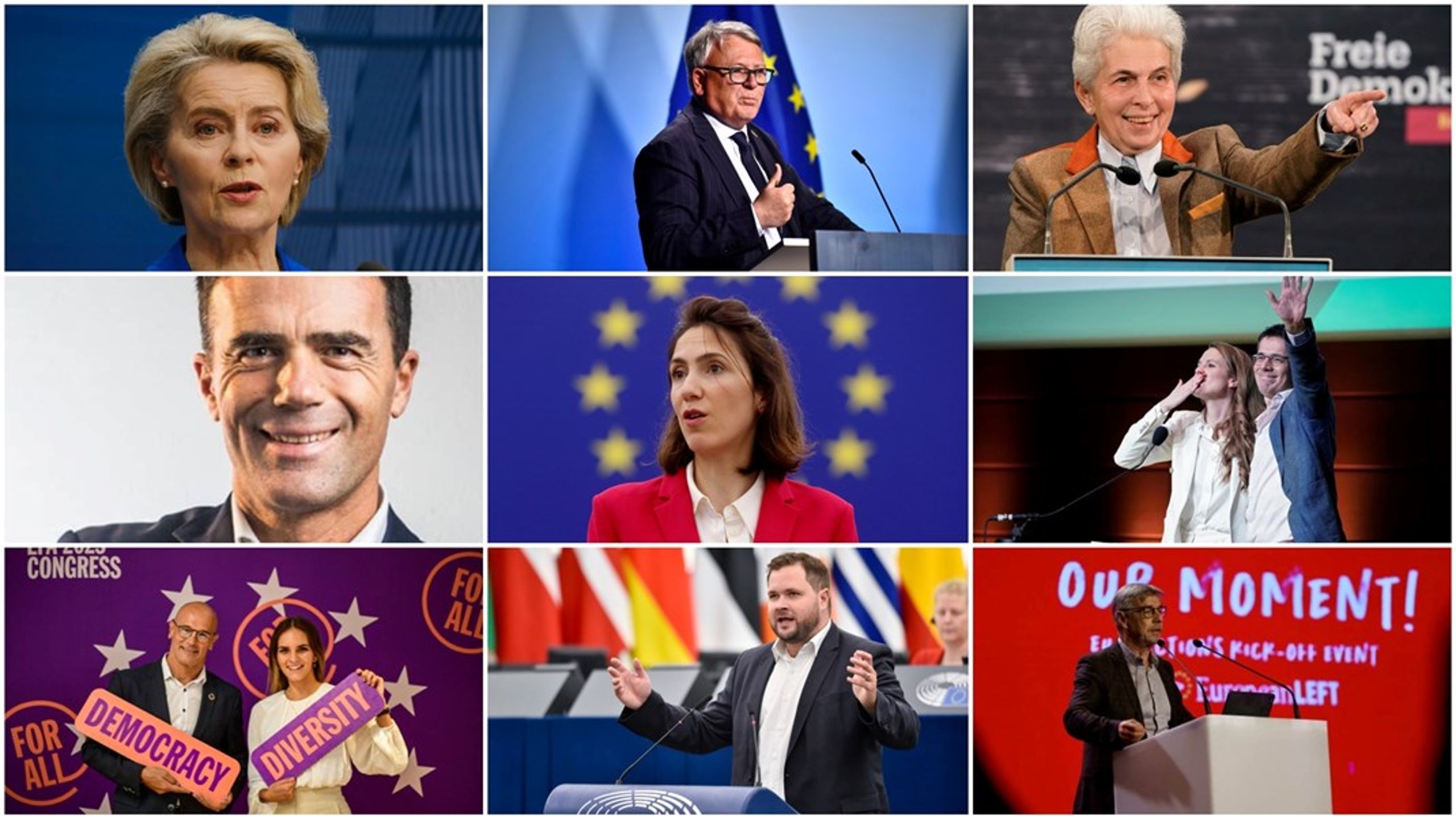 De flesta spetskandidaterna kommer från Tyskland och är väl etablerade i europeisk politik. Men även en student och en politiker från ett nationellt parlament&nbsp;återfinns bland de nominerade, dock båda tyskar.&nbsp;