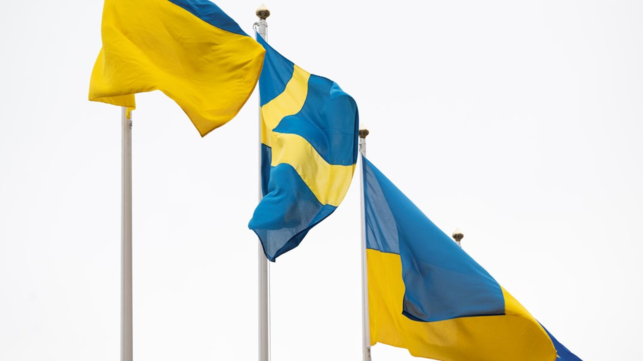 Sverige kan lära av hur det ukrainska civilsamhället har kunnat stärkas av kris och krig.