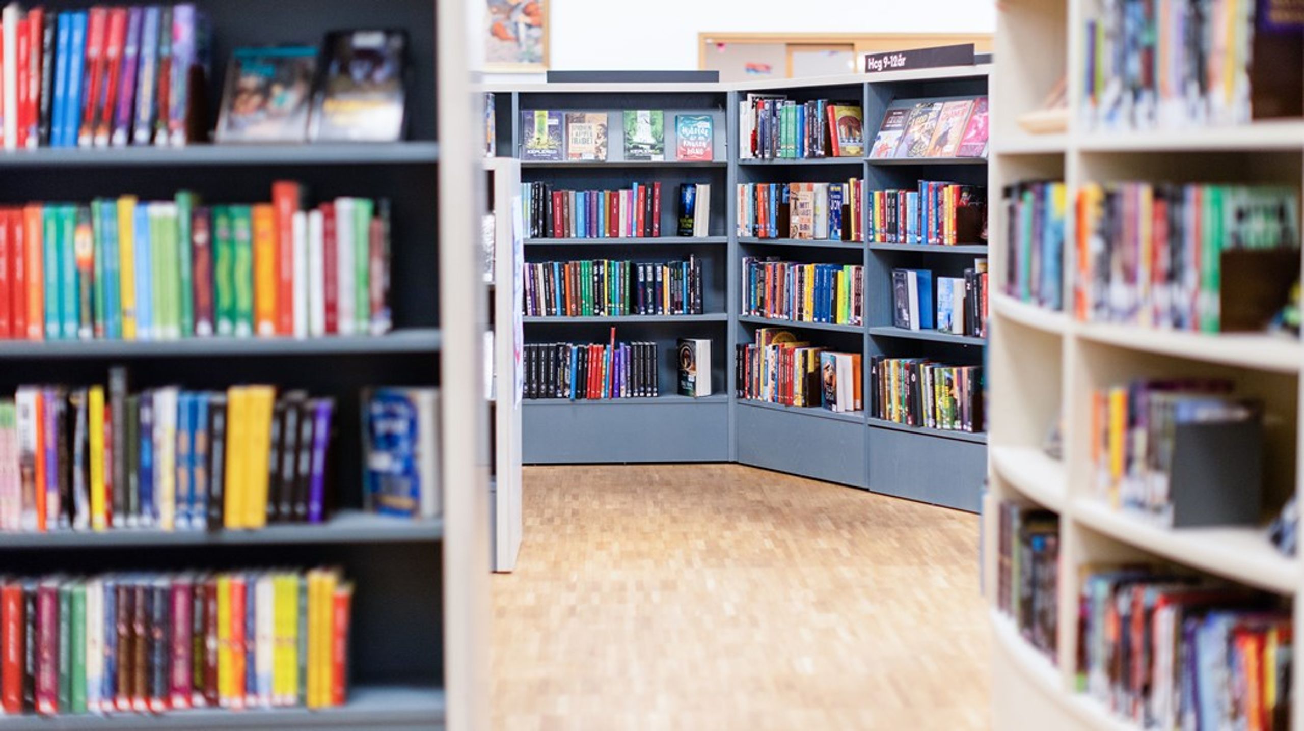 Tillgången till ett välsorterat bibliotek, med generösa öppettider och kompetent personal, är avgörande om vi ska kunna vända den pågående läskrisen, skriver debattören.