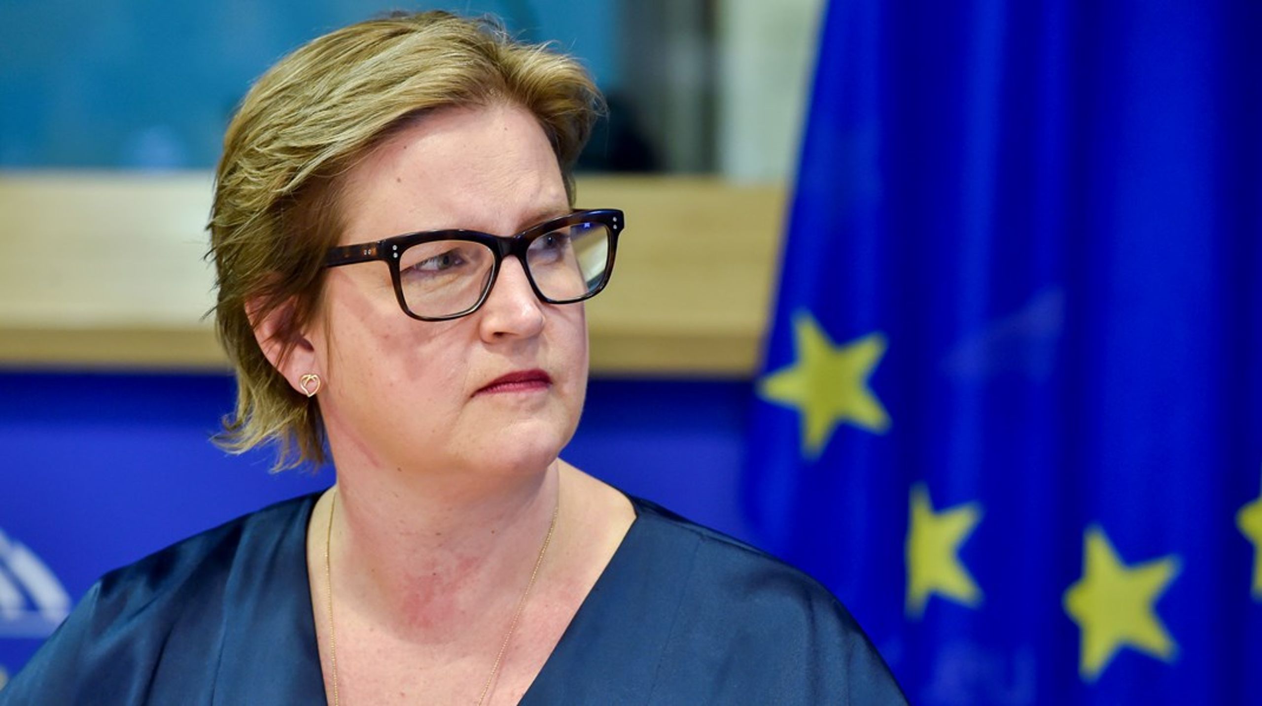 Sittande EU-parlamentarikern, tillika Liberalernas toppnamn i EU-valet, Karin Karlsbro, kallar nu Vänsterpartiets toppkandidat Jonas Sjöstedt till en debatt om Ukrainas väg till fred och frihet.&nbsp;