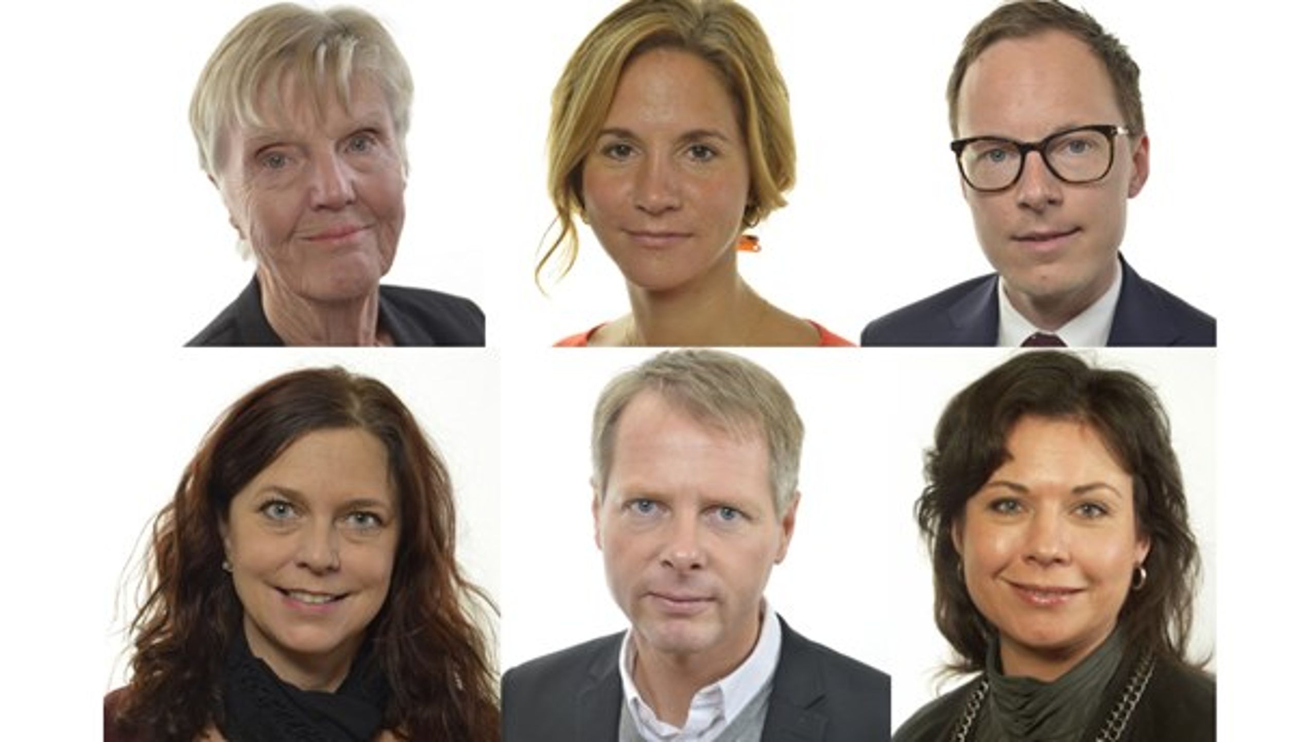 Liberalerna Barbro Westerholm, Maria Weimer, Mats Persson, Emma Carlsson Löfdahl, Christer Nylander och Tina Acketoft vill att regeringen utreder sponsring inom vården.