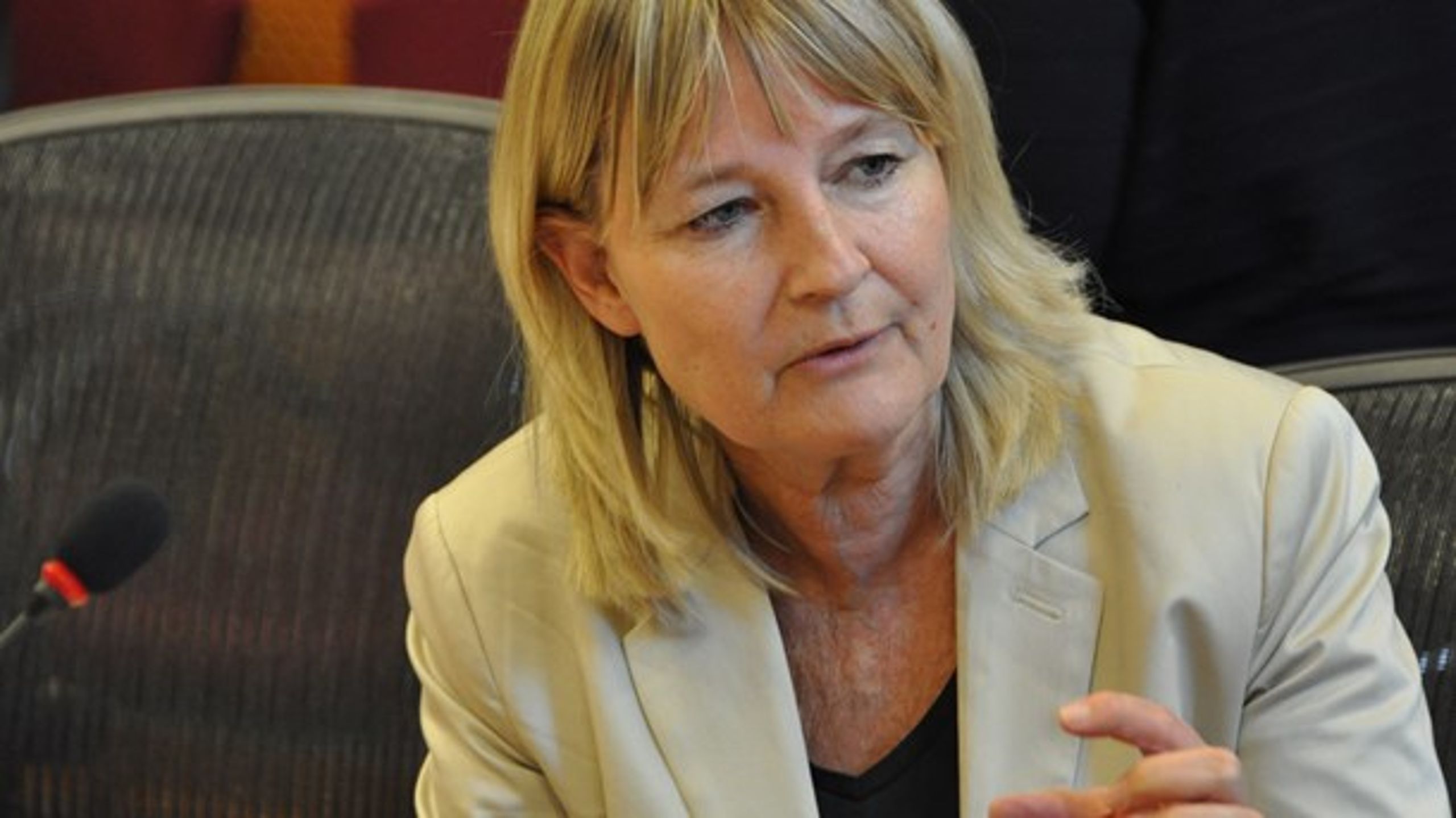 Marita Ulvskog (S), vice ordförande i EU-parlamentets sysselsättningsutskott.