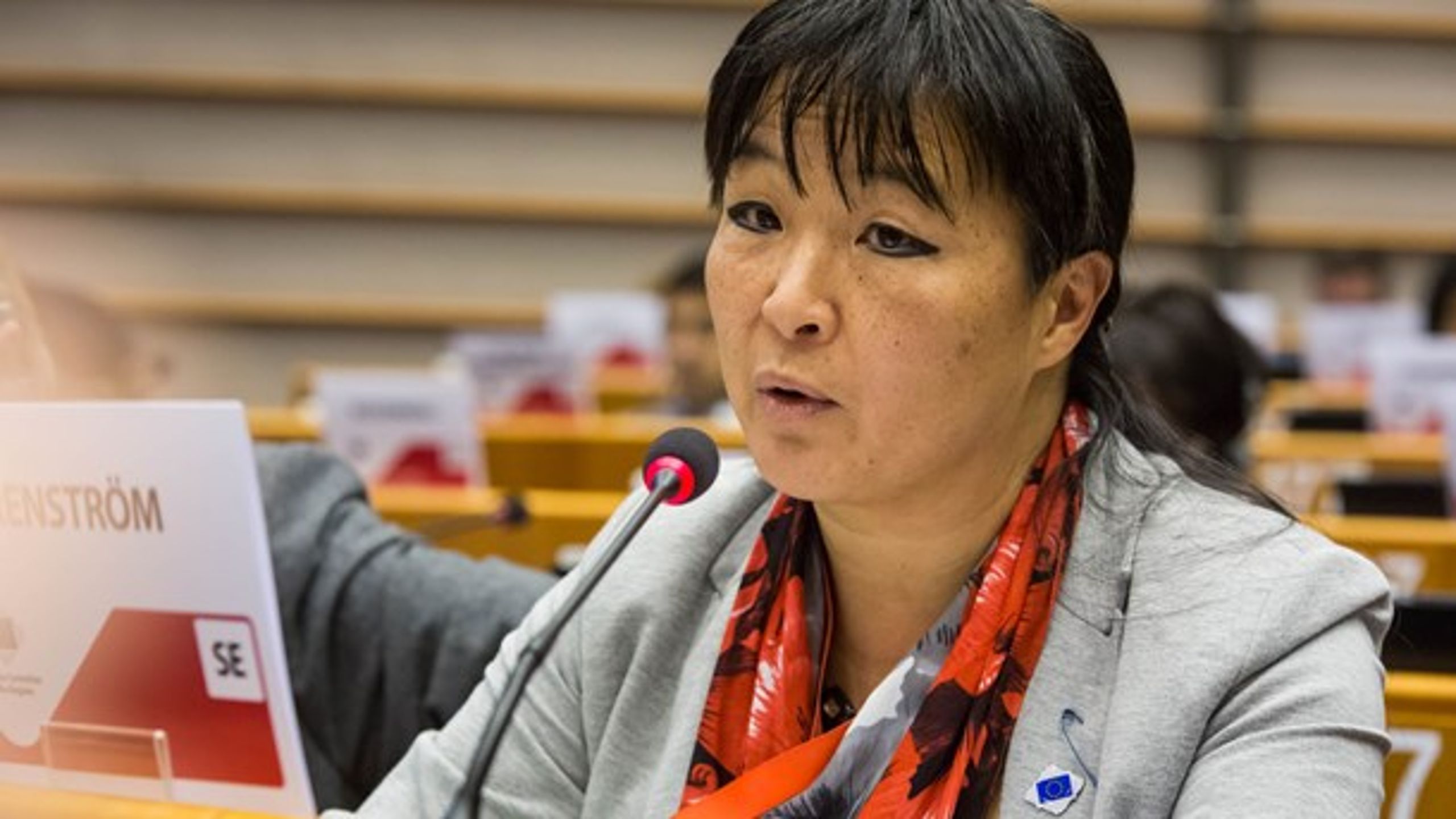 Yoomi Renström (S), ordförande i SEDEC-utskottet i regionkommittén.