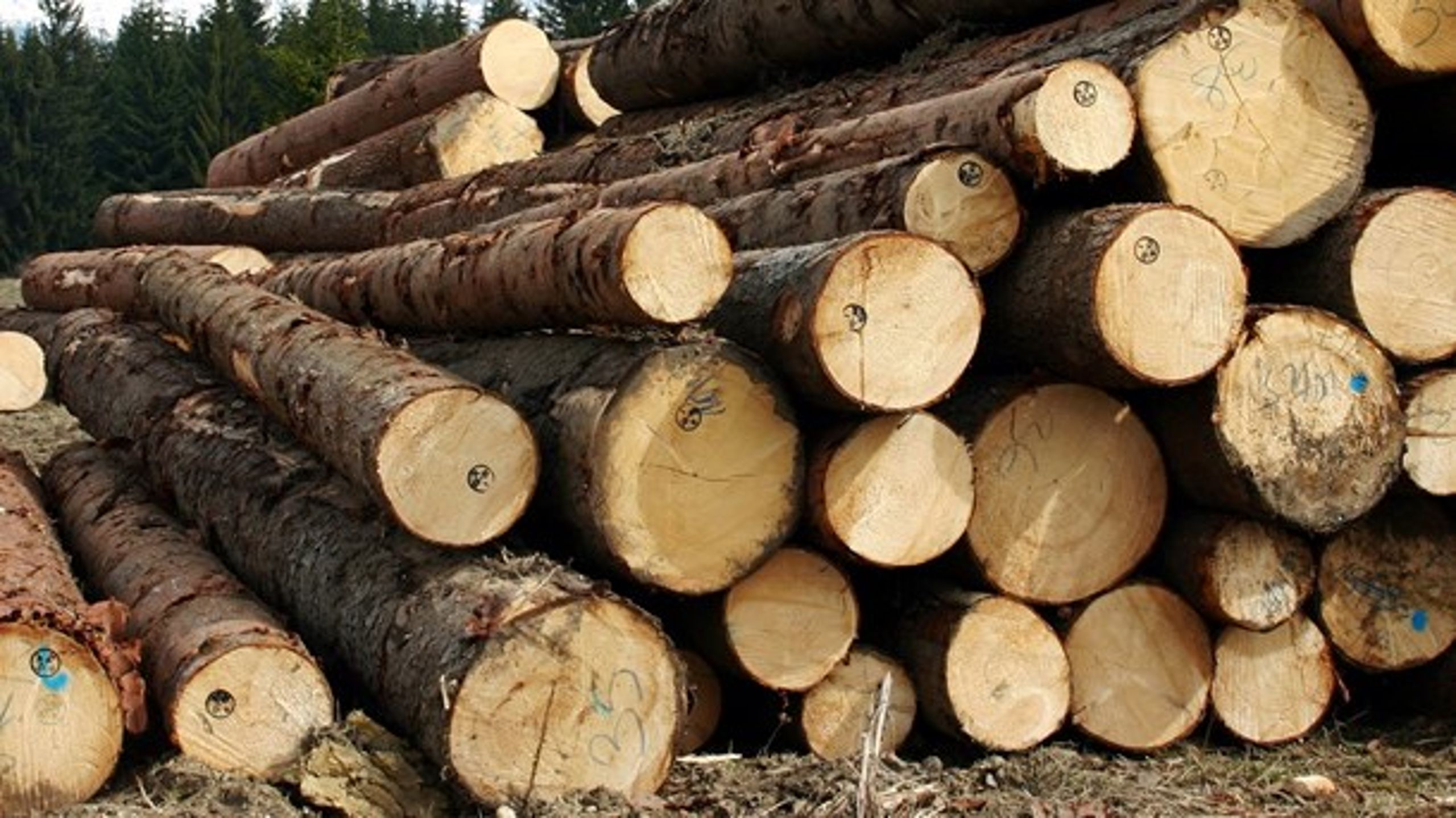 Södra skogsägarna vill inte att Skogsstyrelsen publicerar uppgifter om planerade avverkningar lätt tillgängliga på internet och har nu beslutat att driva ett fall till domstol.