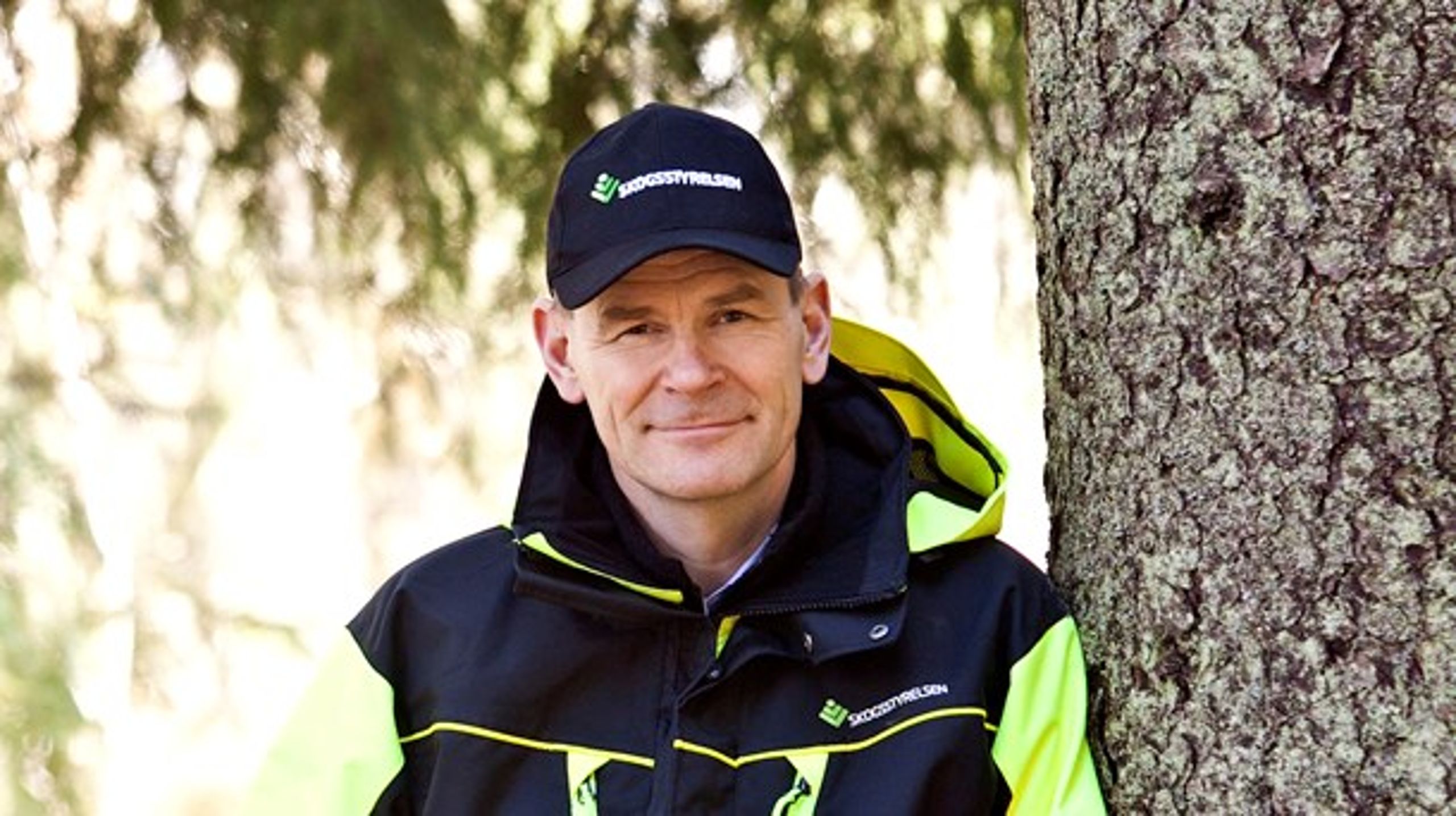 Herman Sundqvist, generaldirektör för Skogsstyrelsen.
