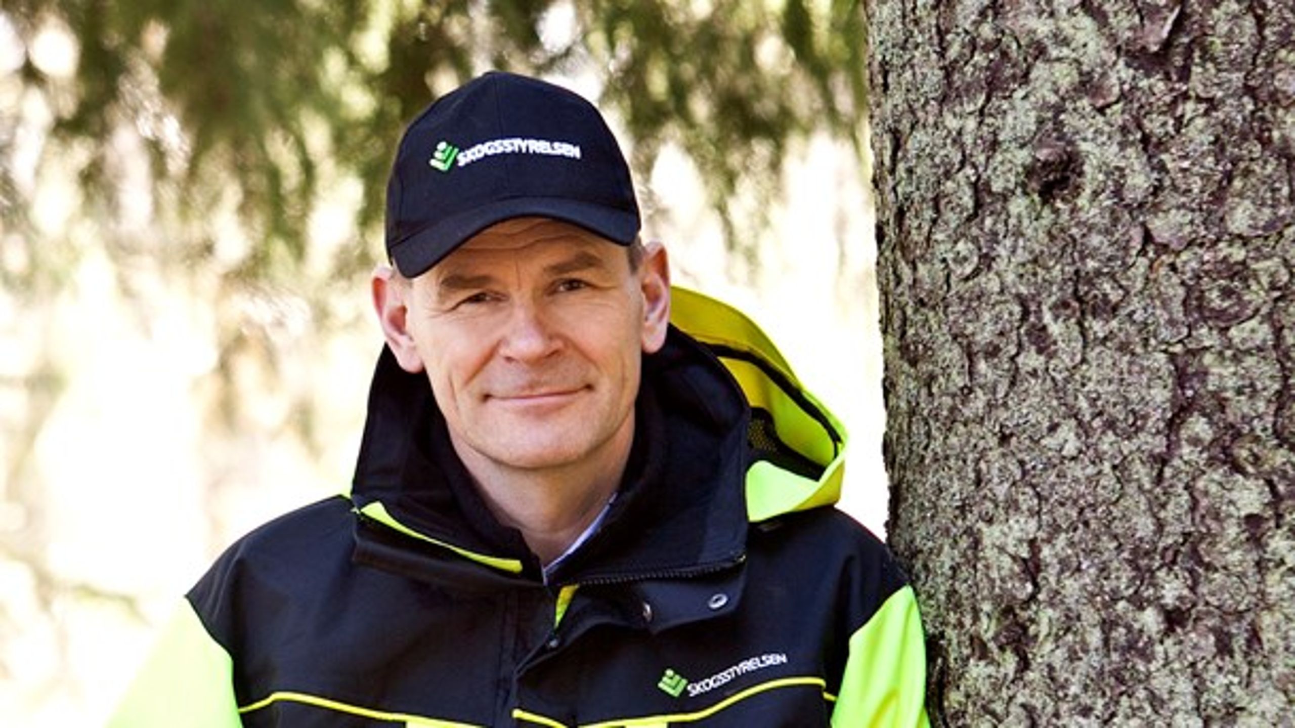 "Vi ville markera behovet av ett omtag i frågan" skriver&nbsp;Skogsstyrelsens generaldirektör Herman Sundqvist.