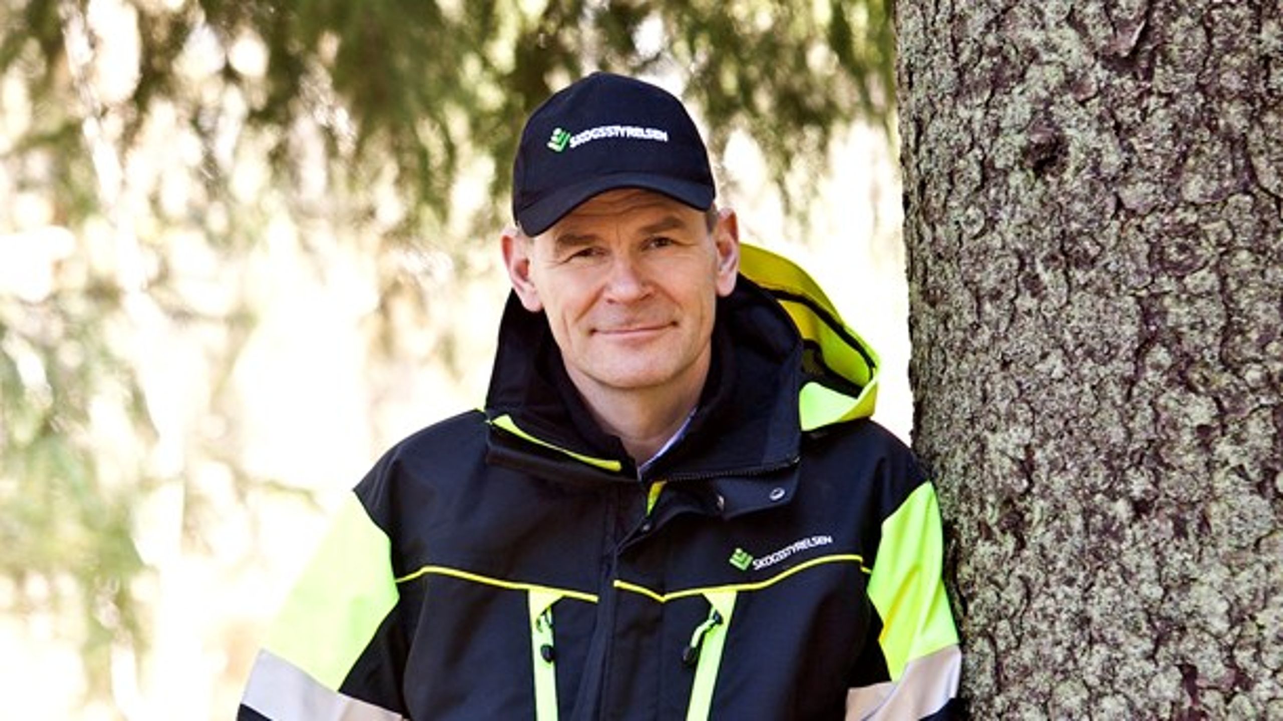 Skogsstyrelsens generaldirektör Herman Sundqvist.