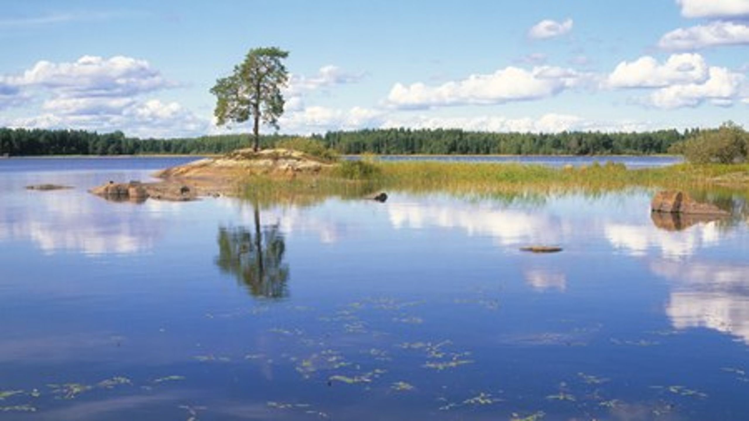 Nedre Dalälven är ett myggrikt område, vilket kan ge en tuff tillvaro för de boende. Bekämpningen, med statlig finansiering, inleddes efter dåvarande miljöminister Kjell Larssons (S) besök i området år 2000.